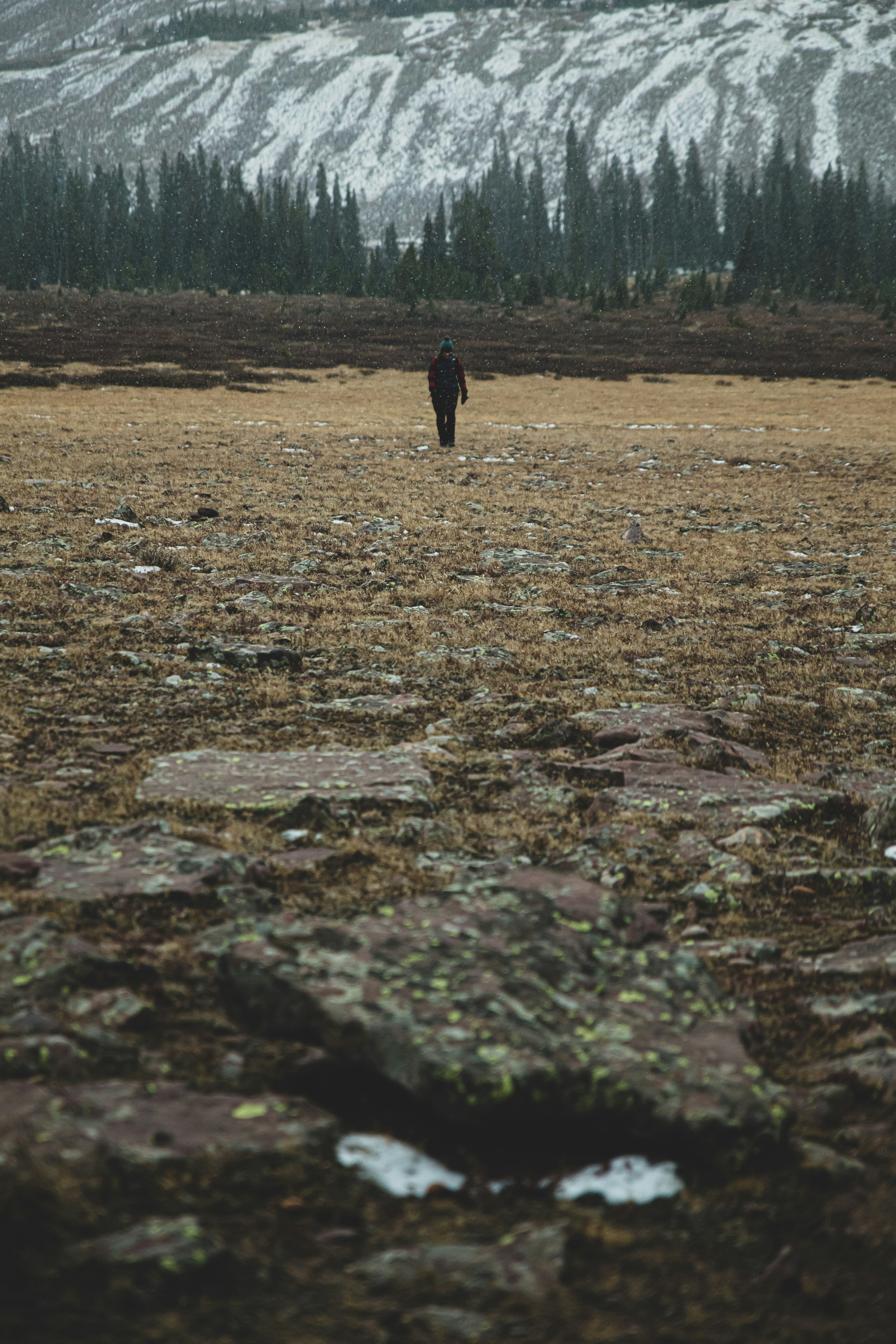 The next avocado toast