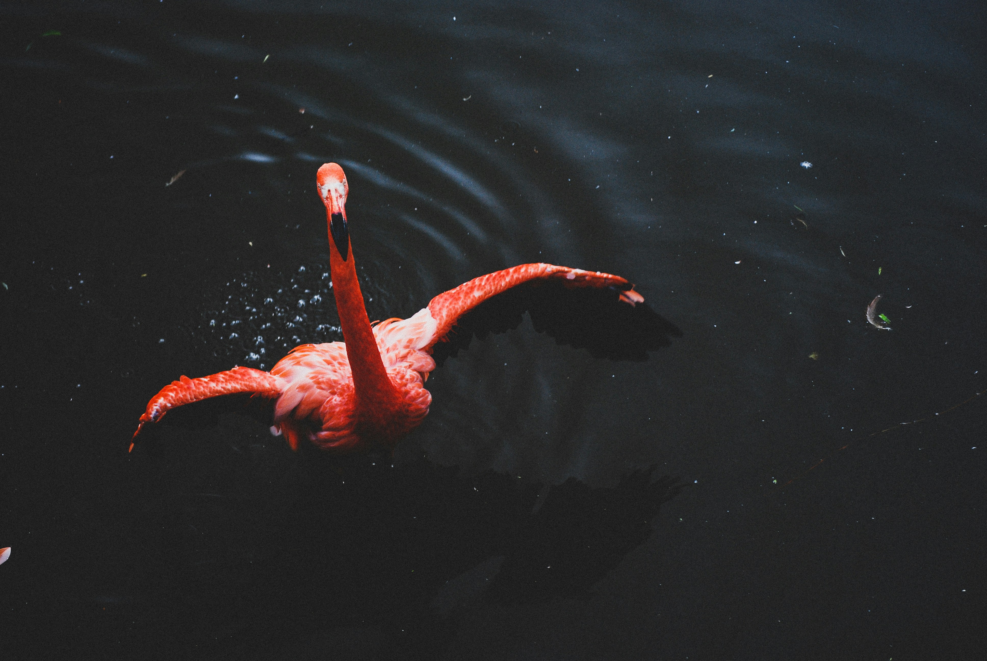 Photo by visualize