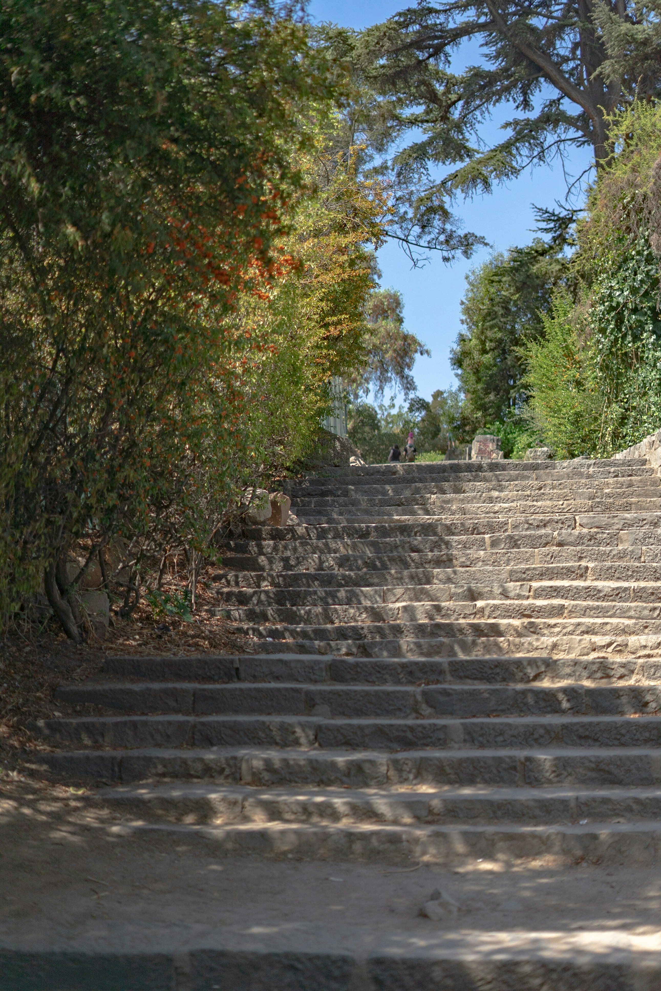 Photo by adrianluisp10