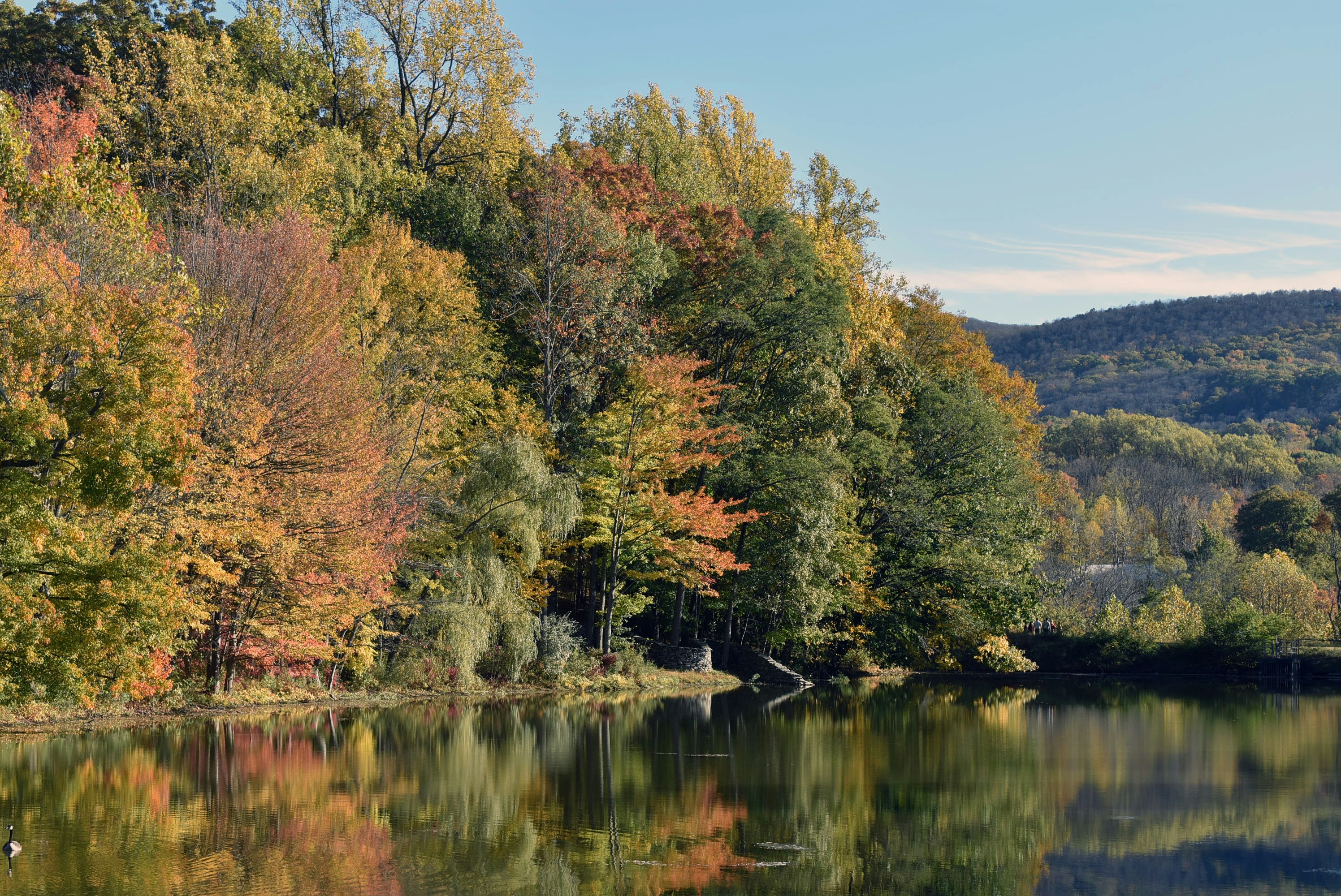 Photo by gretchen10019