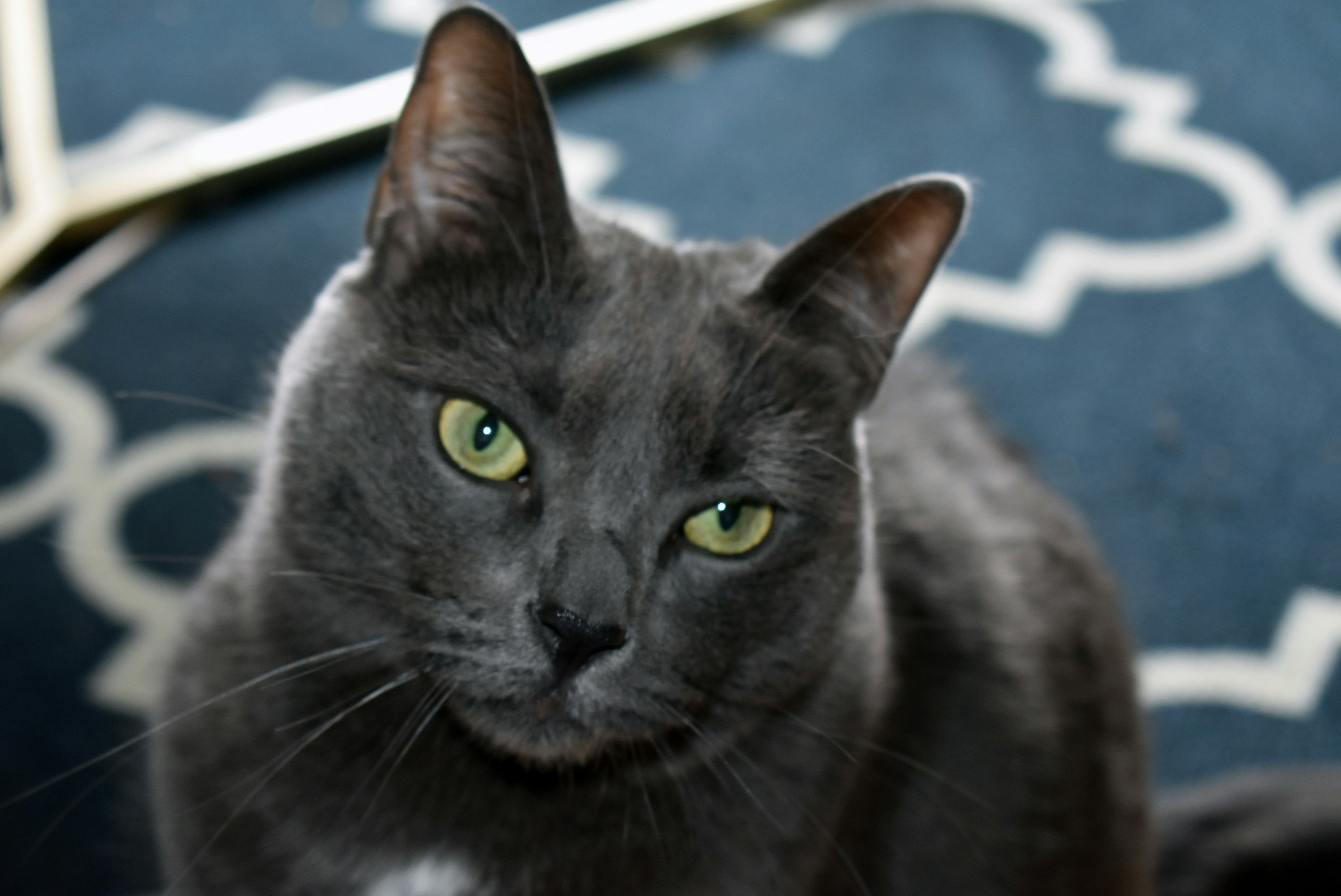 Photo by gretchen10019