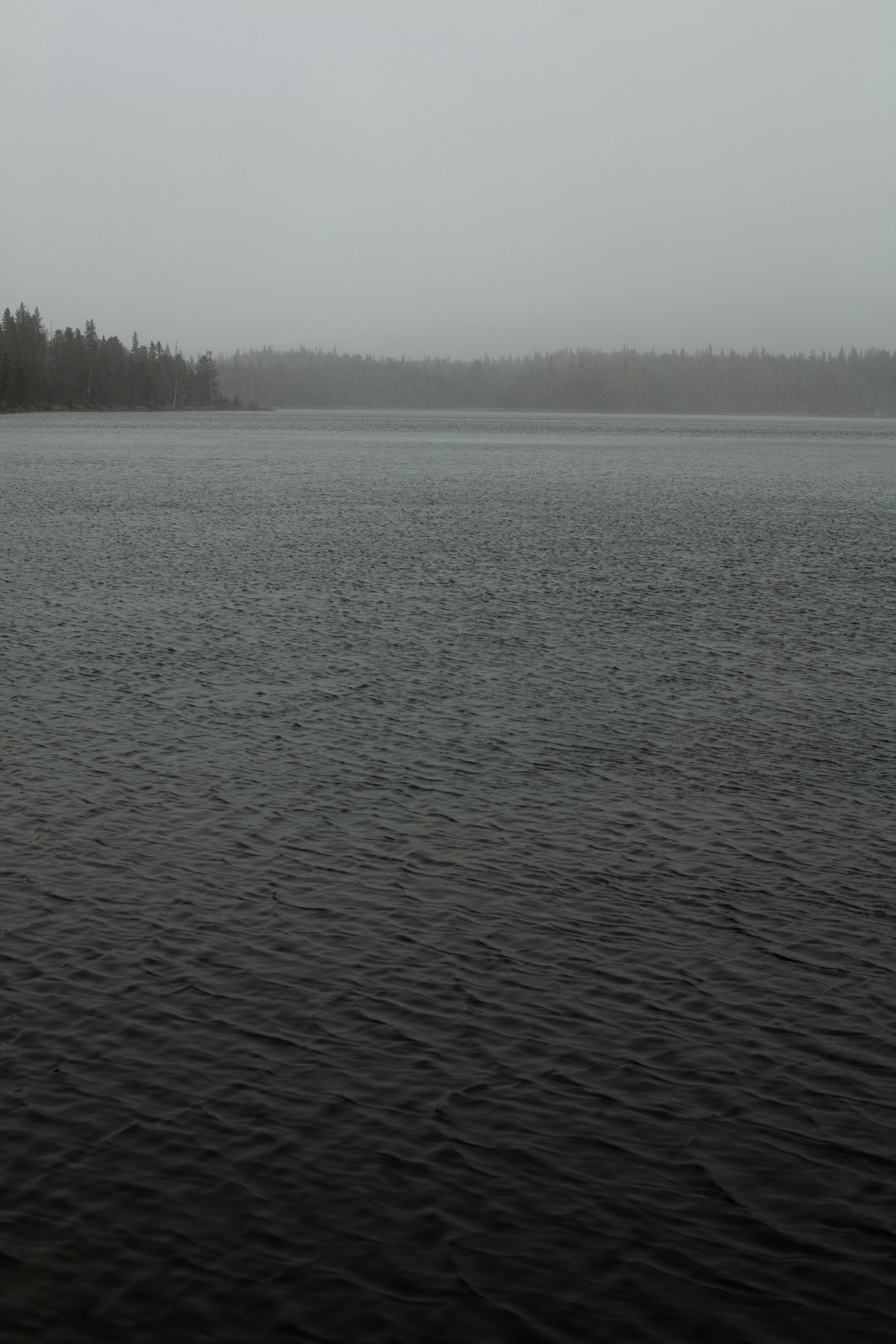 Photo by worldsbetweenlines