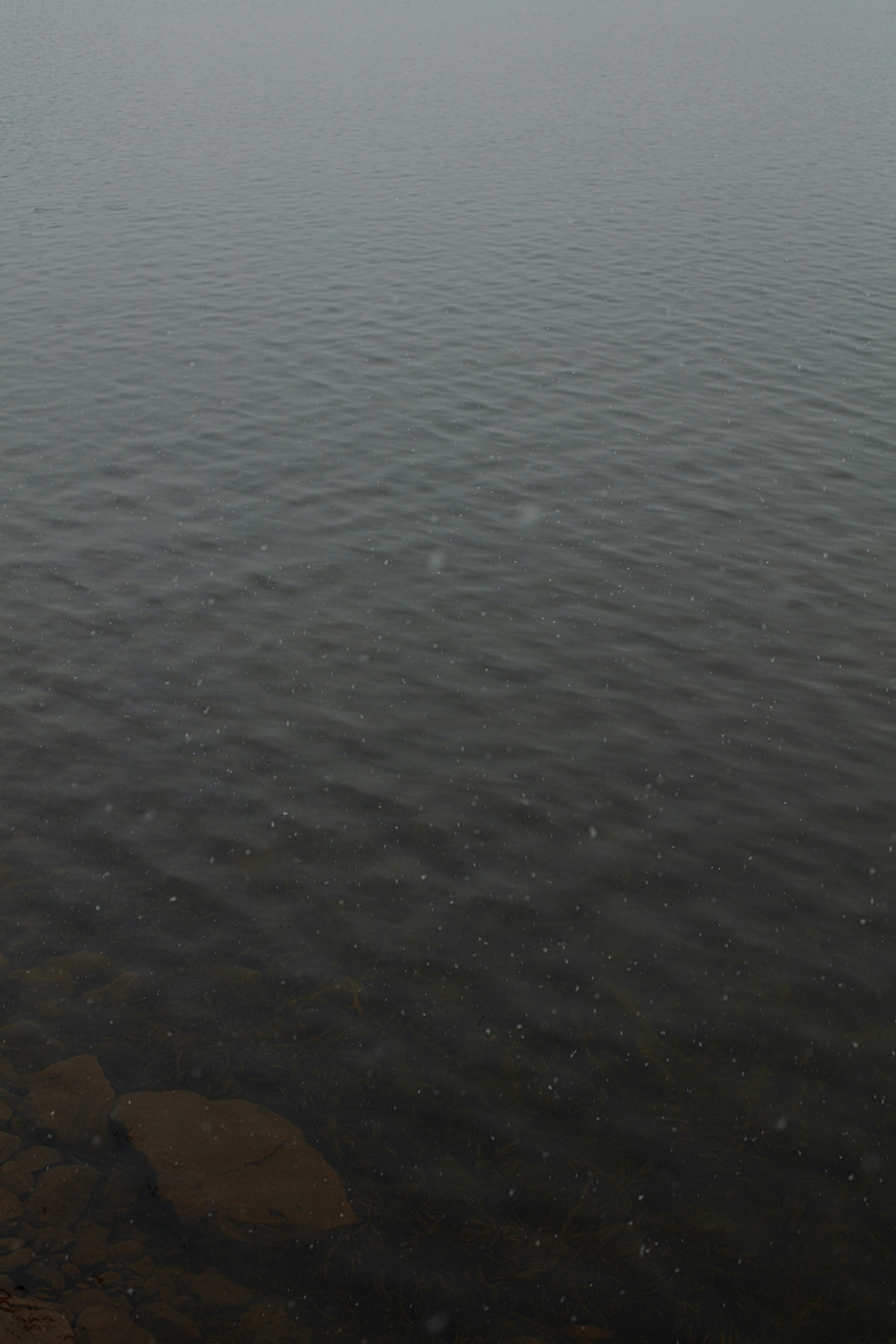 Photo by worldsbetweenlines