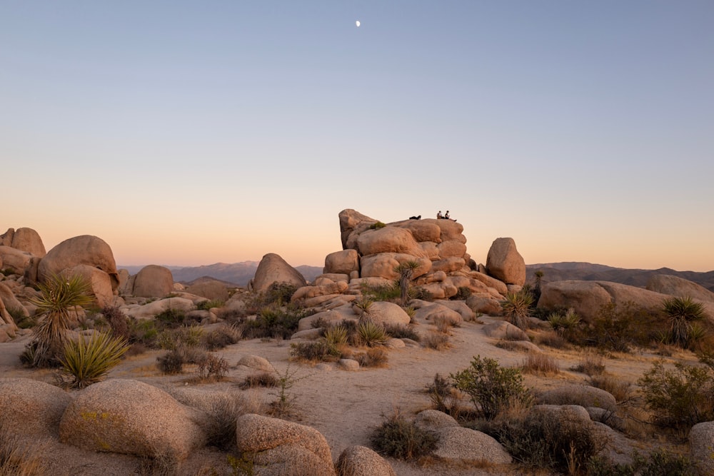rock boulders on desert