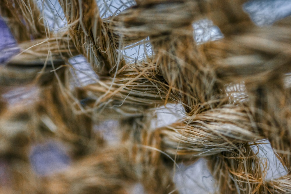macro photography of brown rope
