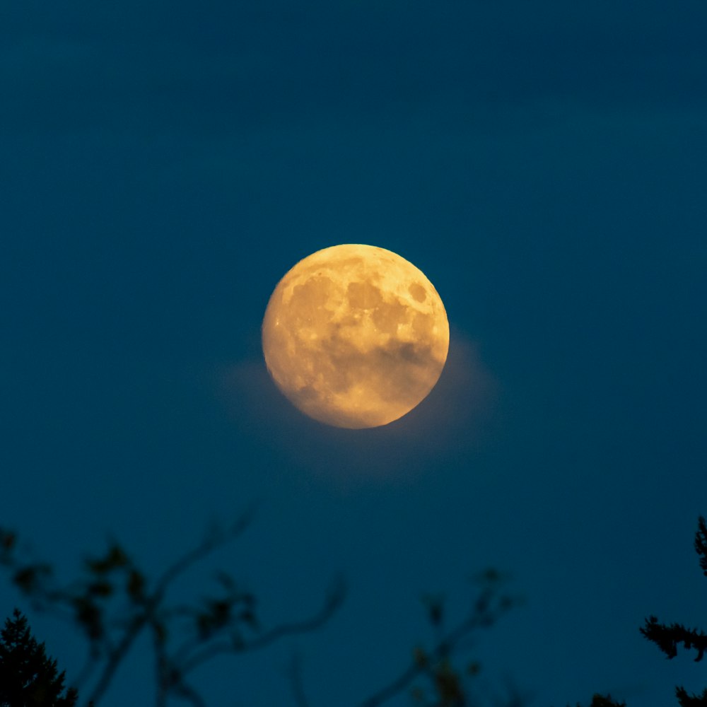 full moon view during night time