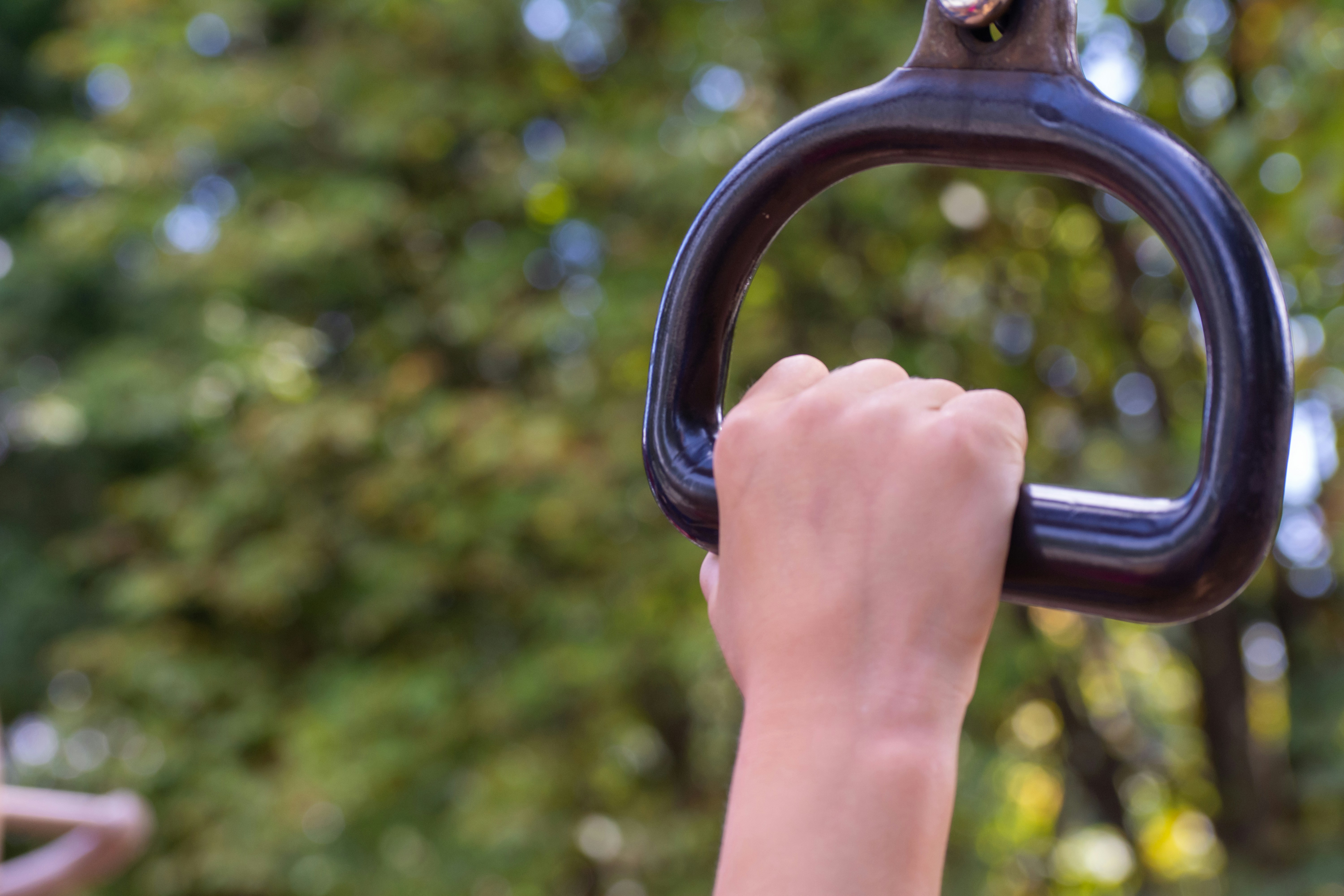 Is There A Playground With Monkey Bars Nearby?