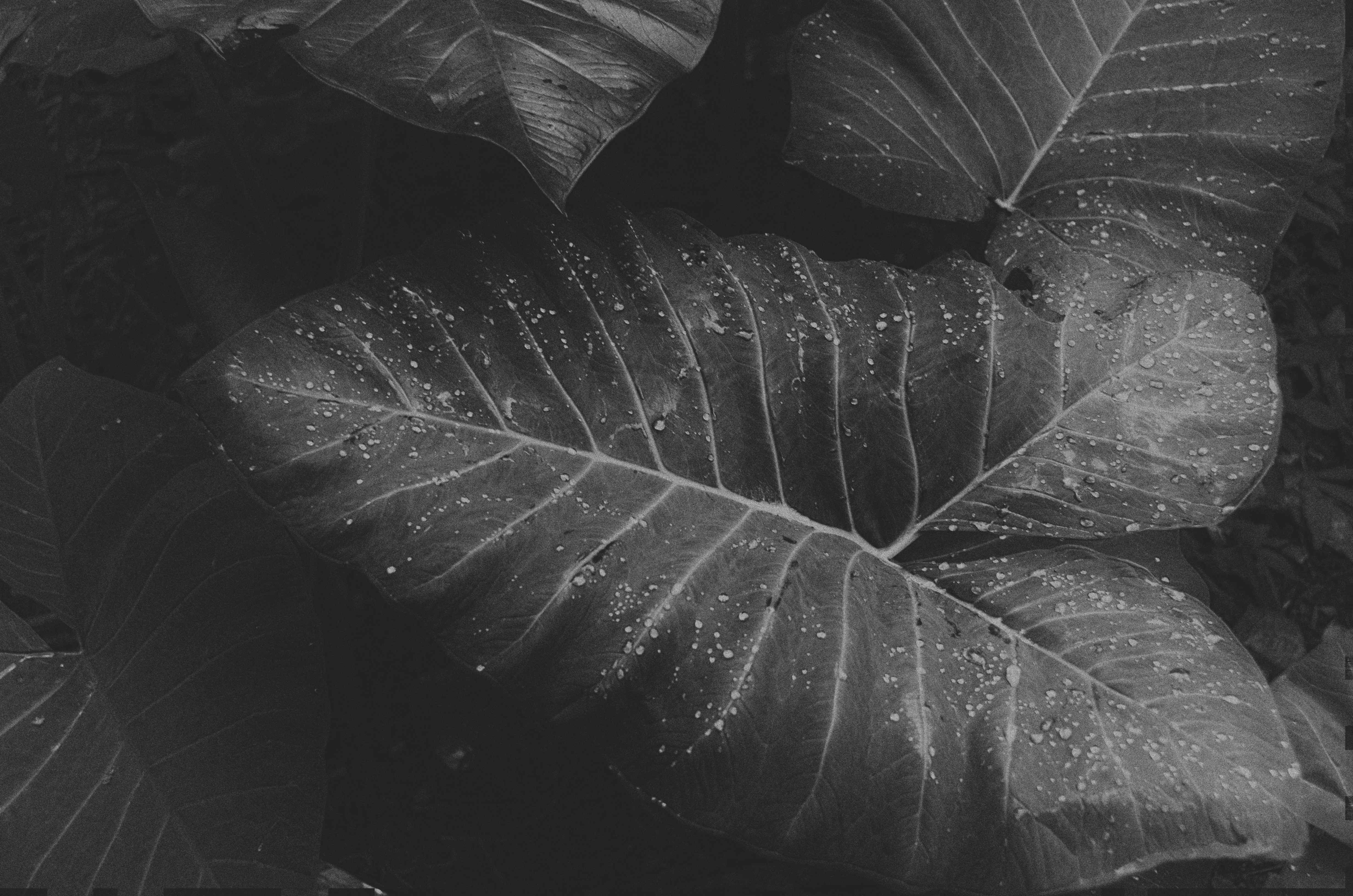 Photo by laurafernandezfp