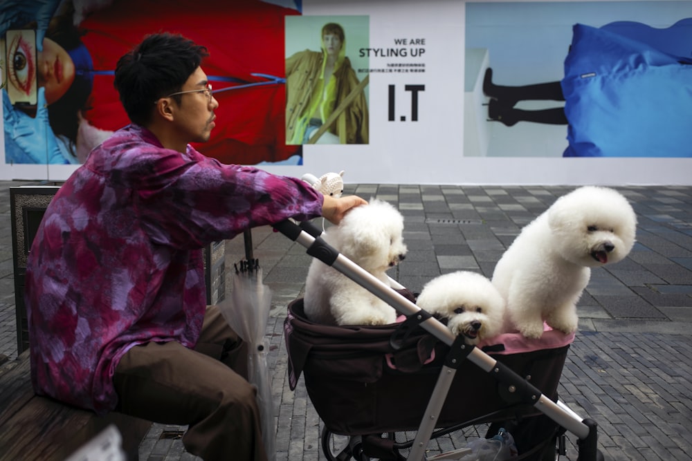 homme tenant un chariot avec trois chiens blancs