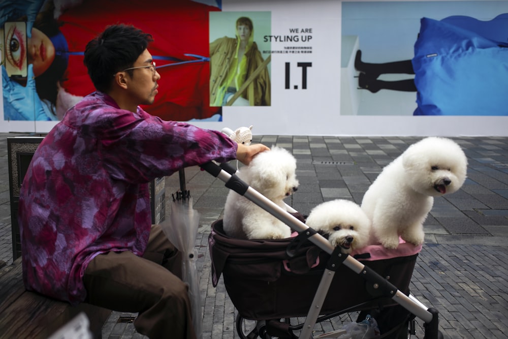 man holding trolley with three white dog