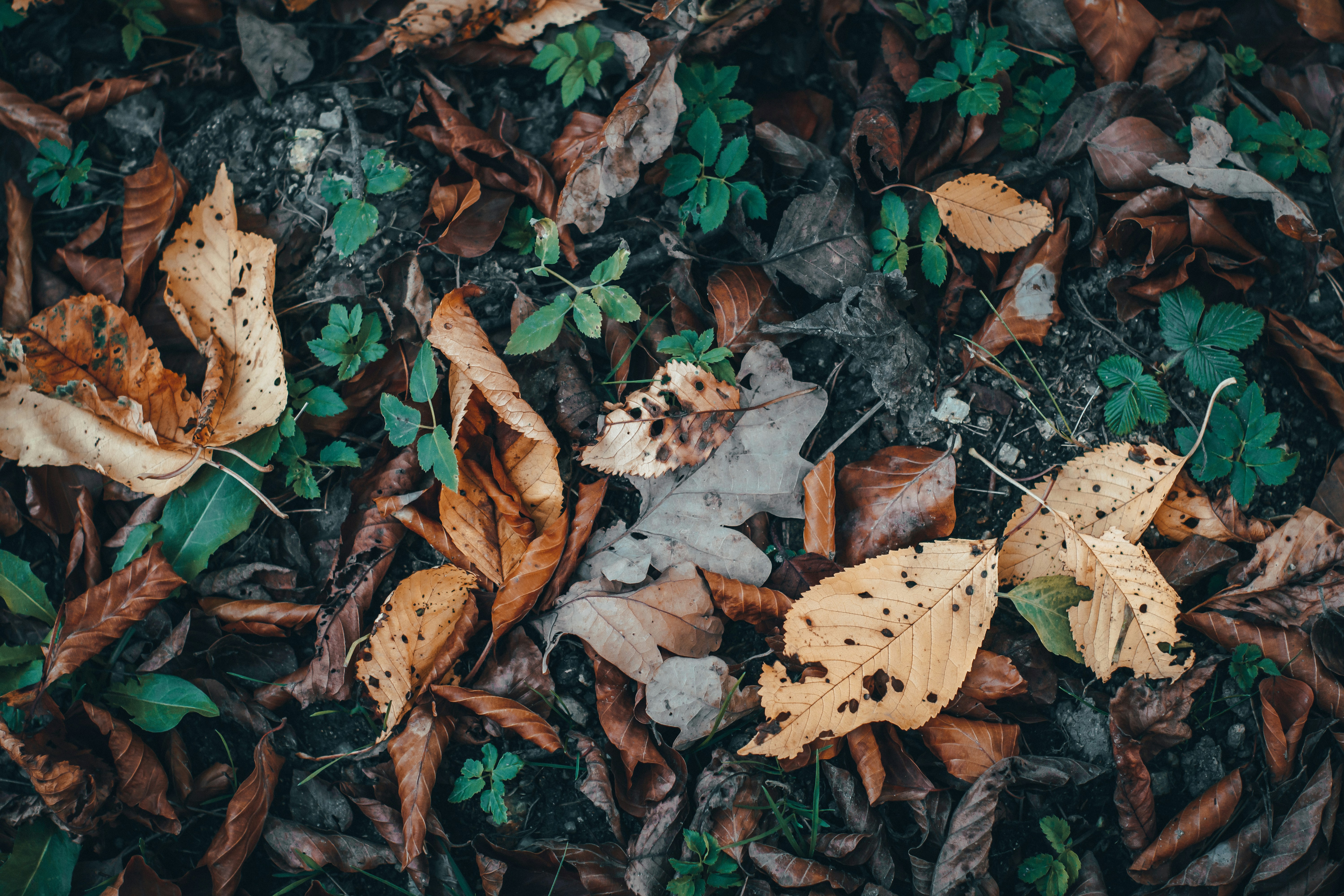 Photo by benjamin_raffetseder