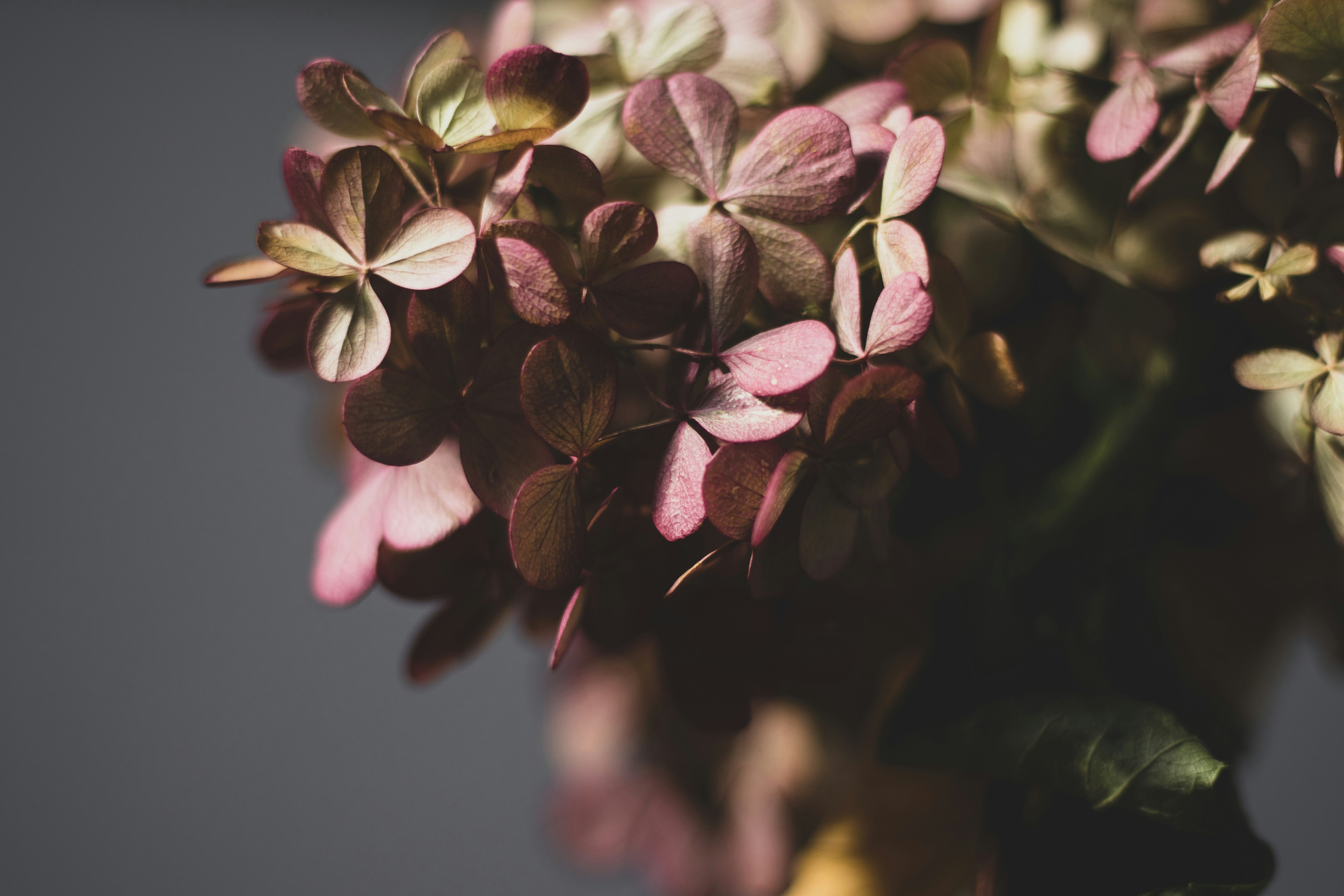 Photo by patrycja_chociej