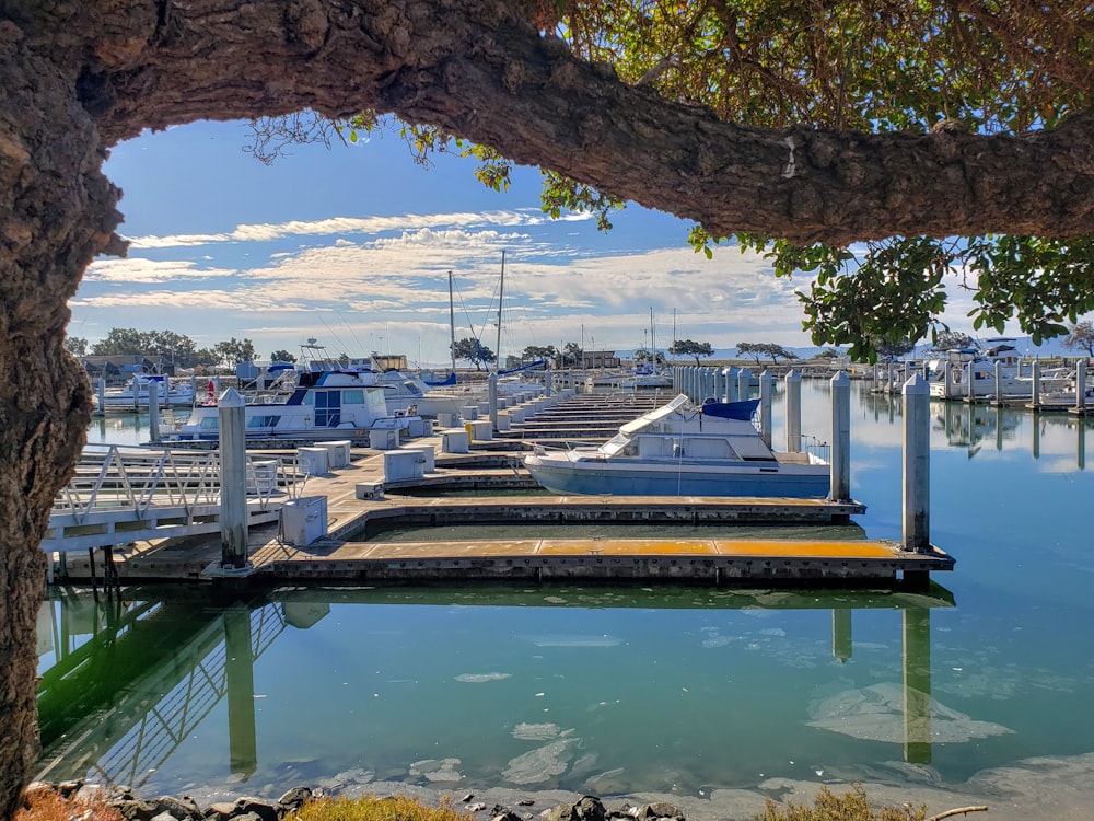 white yacht on body of water