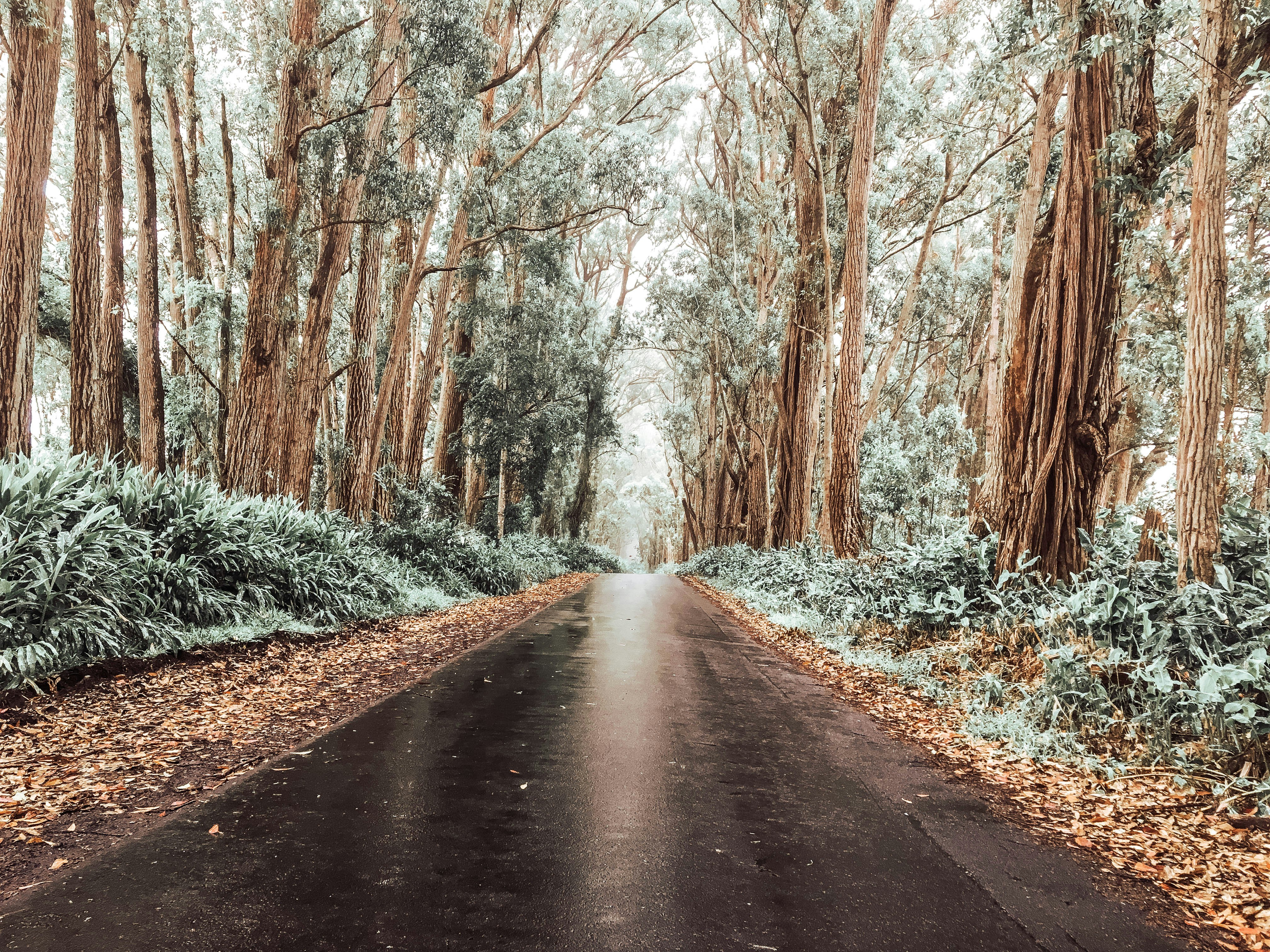 Photo by morganalicia