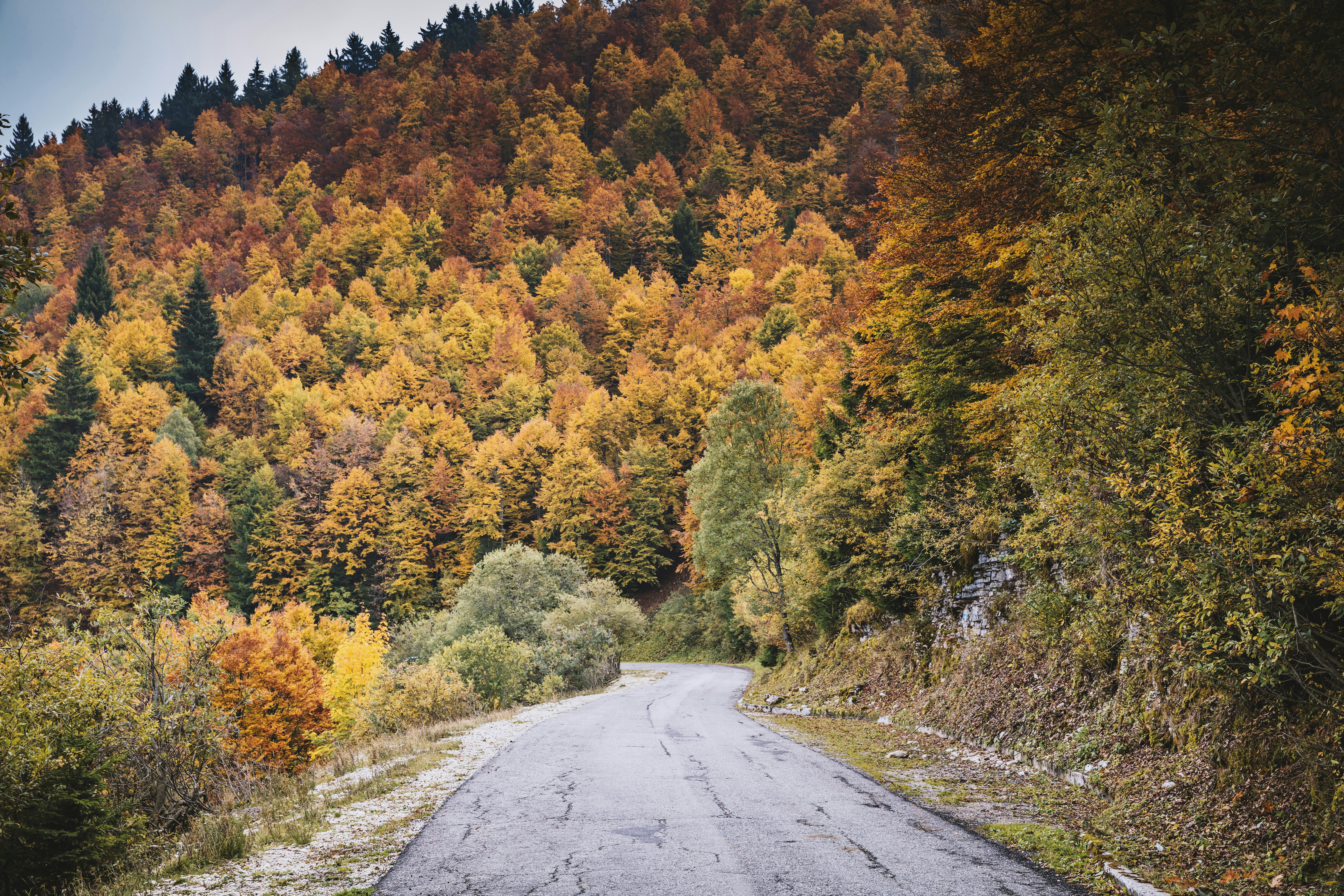 Photo by jochenbueckers