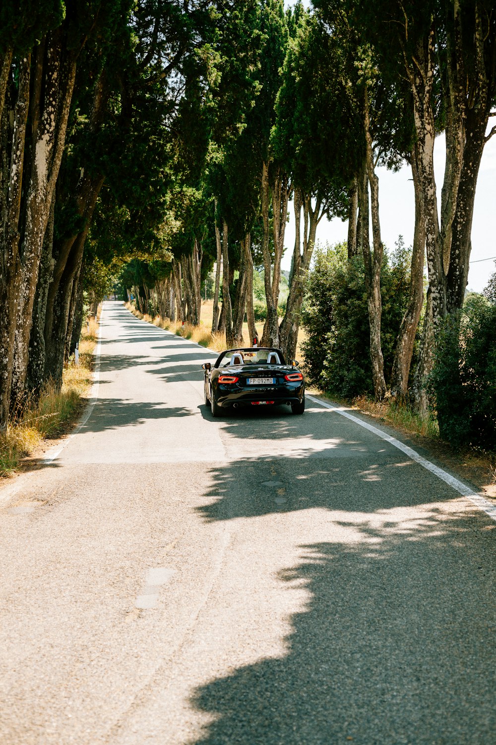 black convertible coupe on road beside trees