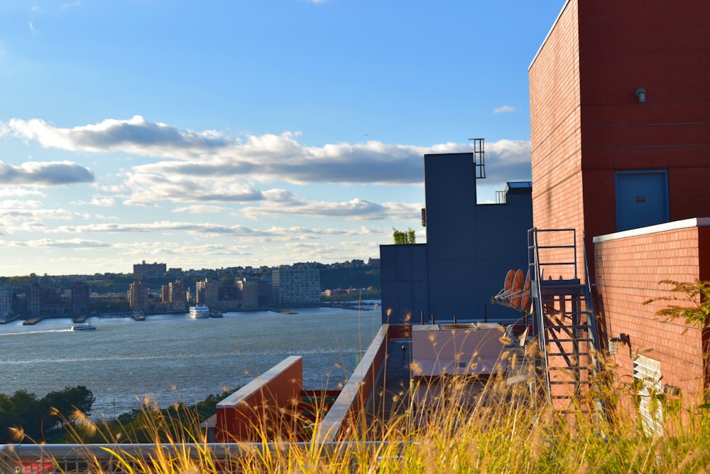 brown high-rise building near sea water