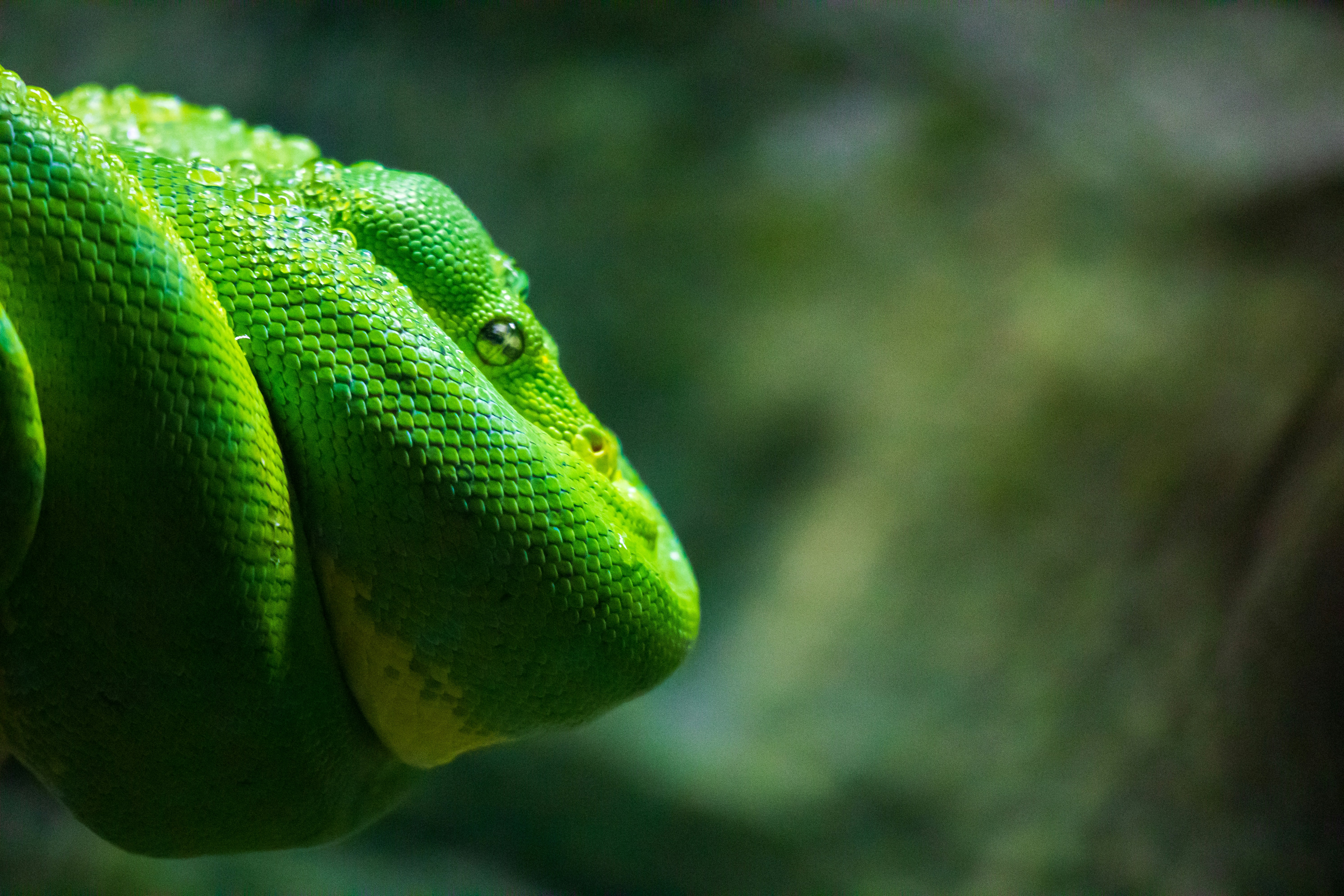 구글의 관련 이미지 7