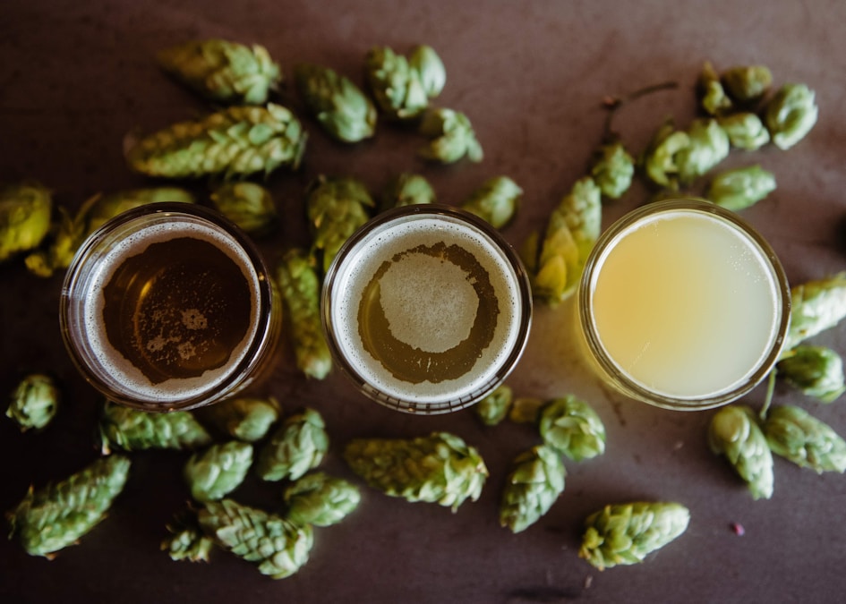 Professional maintaining a draft beer system with cleaning equipment