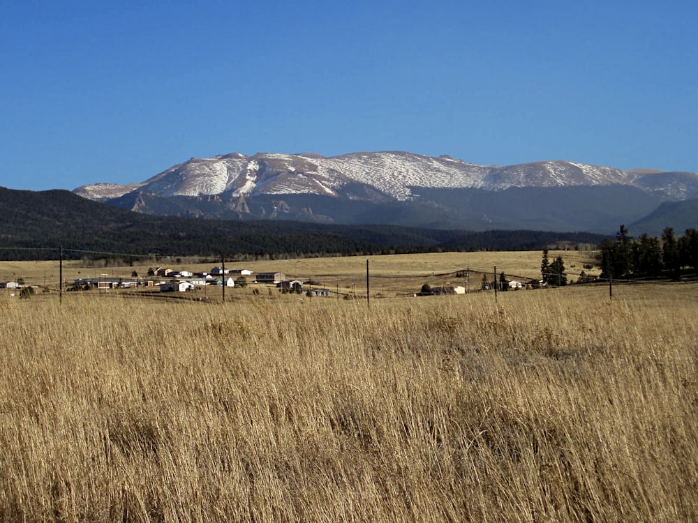 rocky mountain photograph