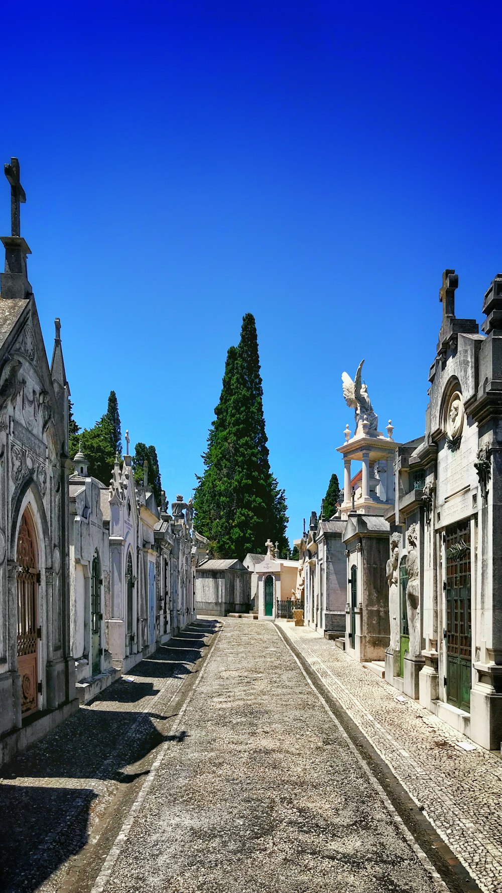 concrete road in between buildings during daytime