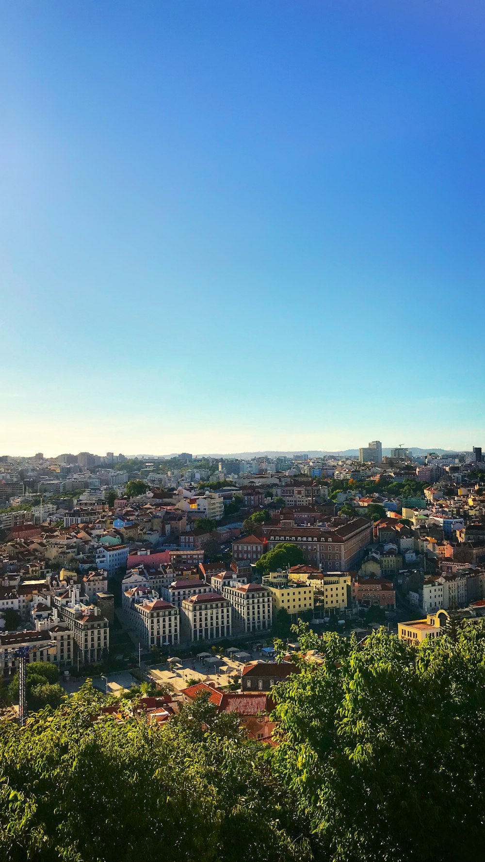 aerial photography of city with high-rise buildings and houses under blue and white sky during daytime