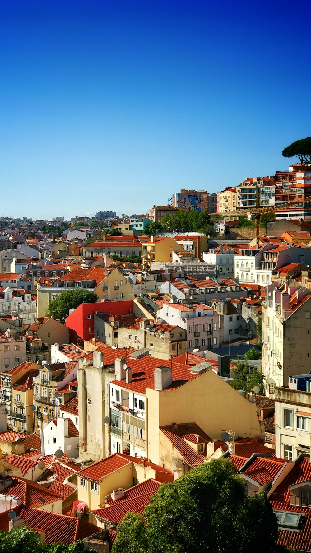 aerial view of buildings during daytime