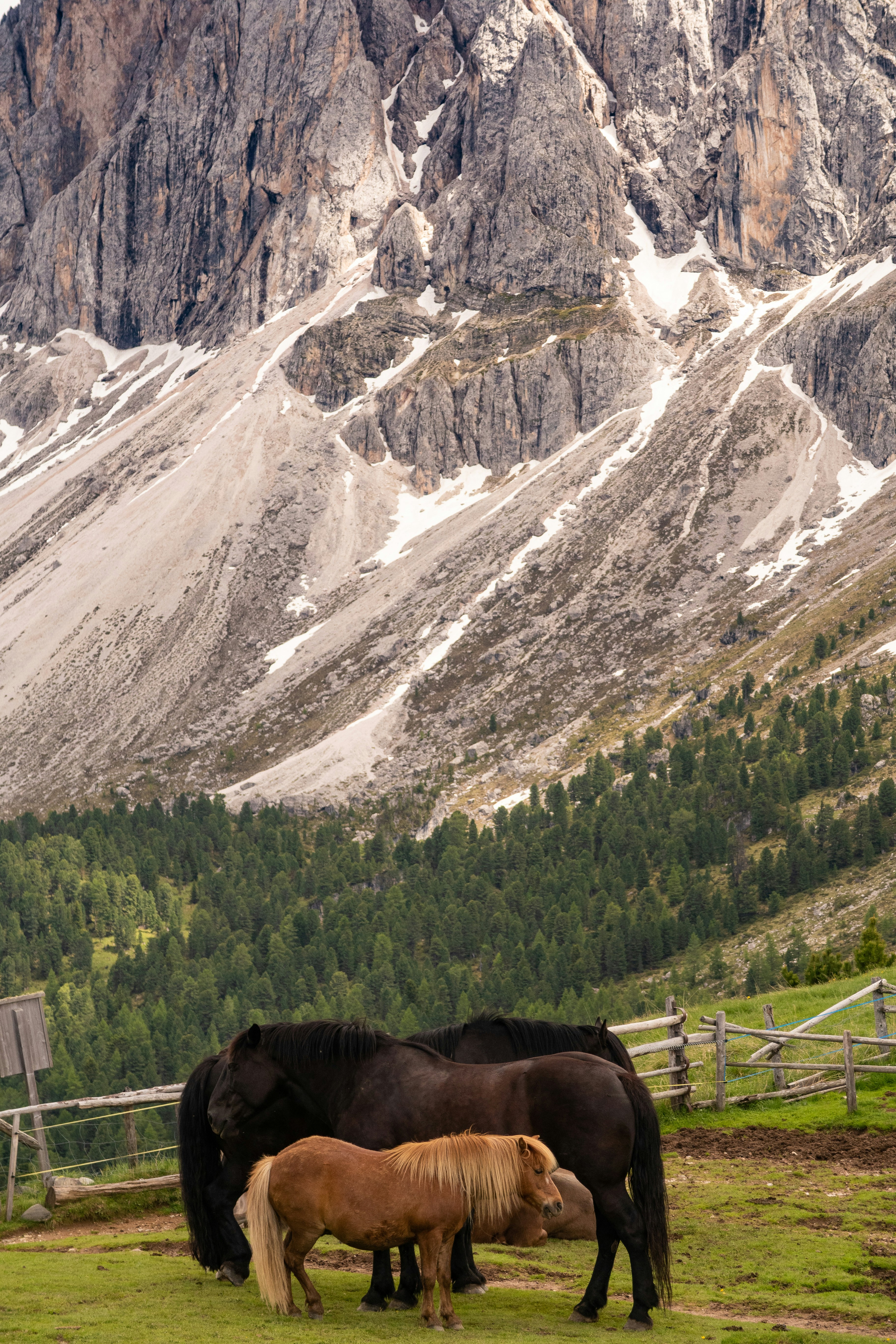 Photo by thewithatcanfi