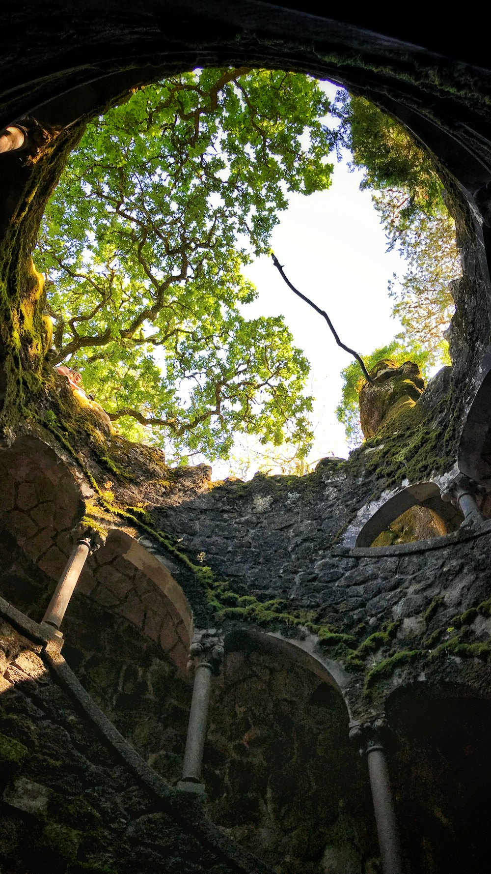 ruin castle photograph