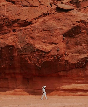 person walking near brown rock