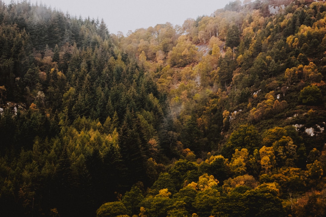 high angle photo of mountain