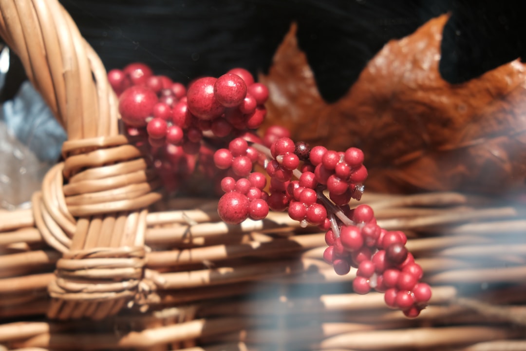 macro photography of red berry fruits