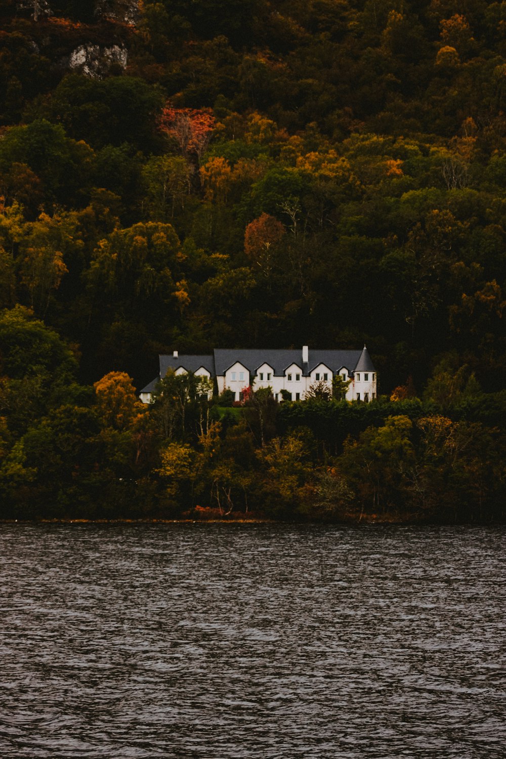 white and gray house