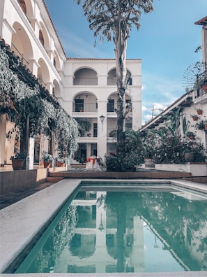 pool infront of palm tree