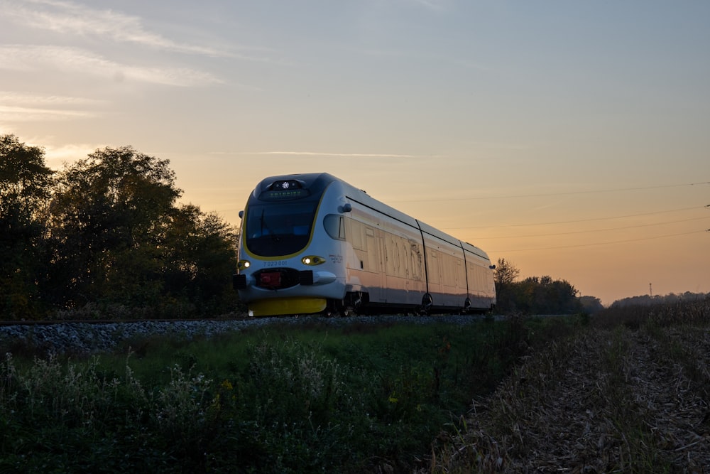 gray train passing beside trees