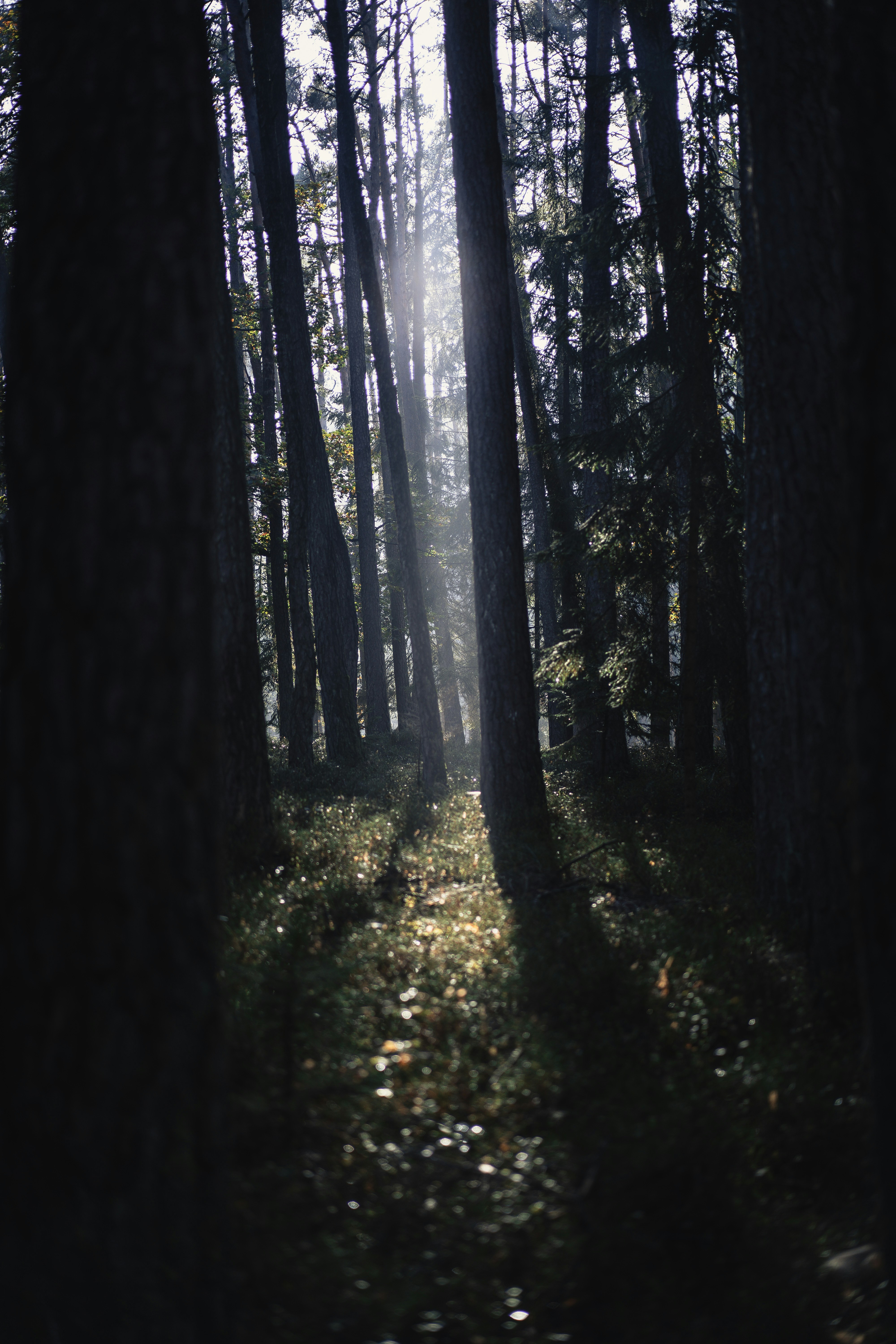 Photo by dominik_kempf