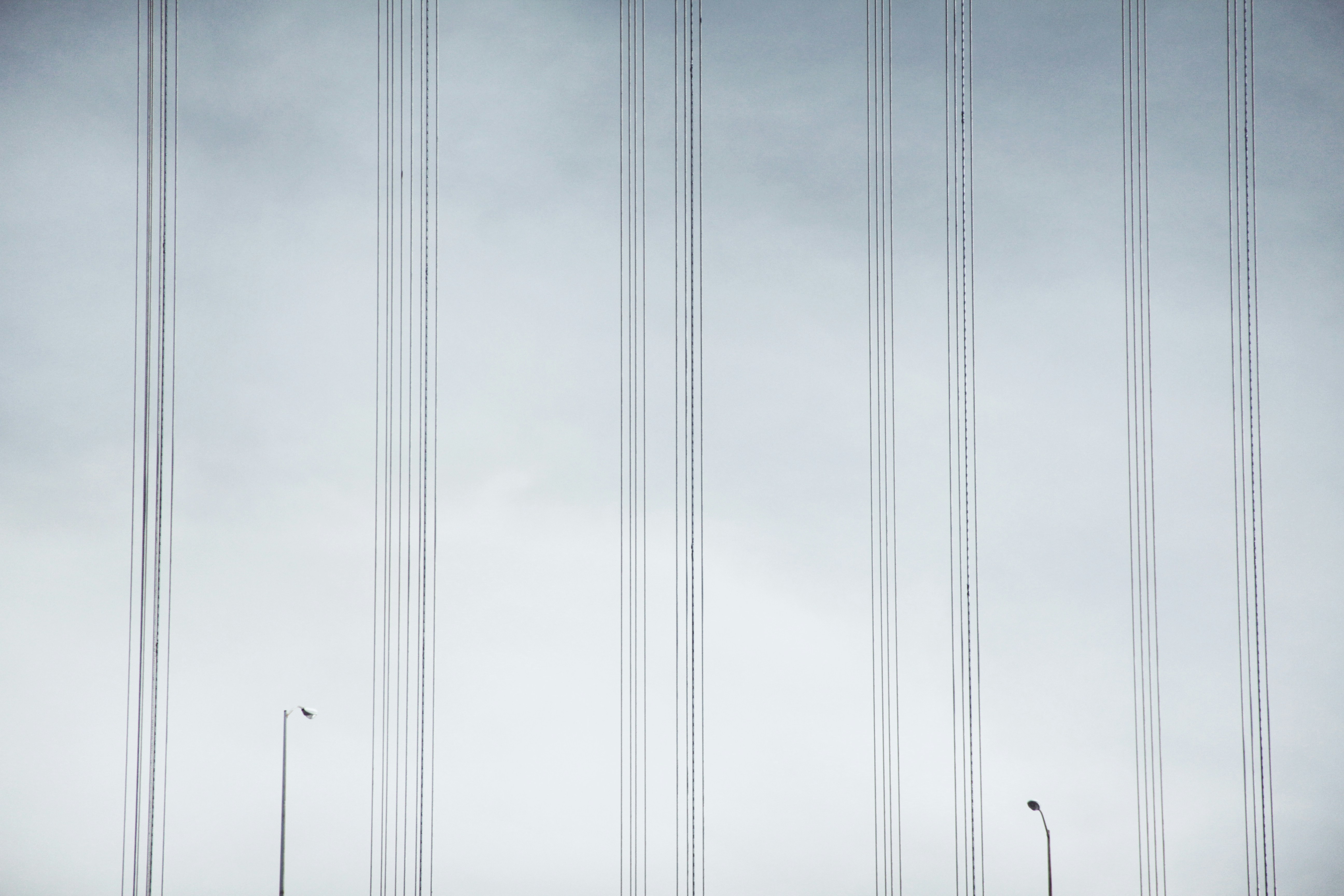 Photo by giorgiotrovato
