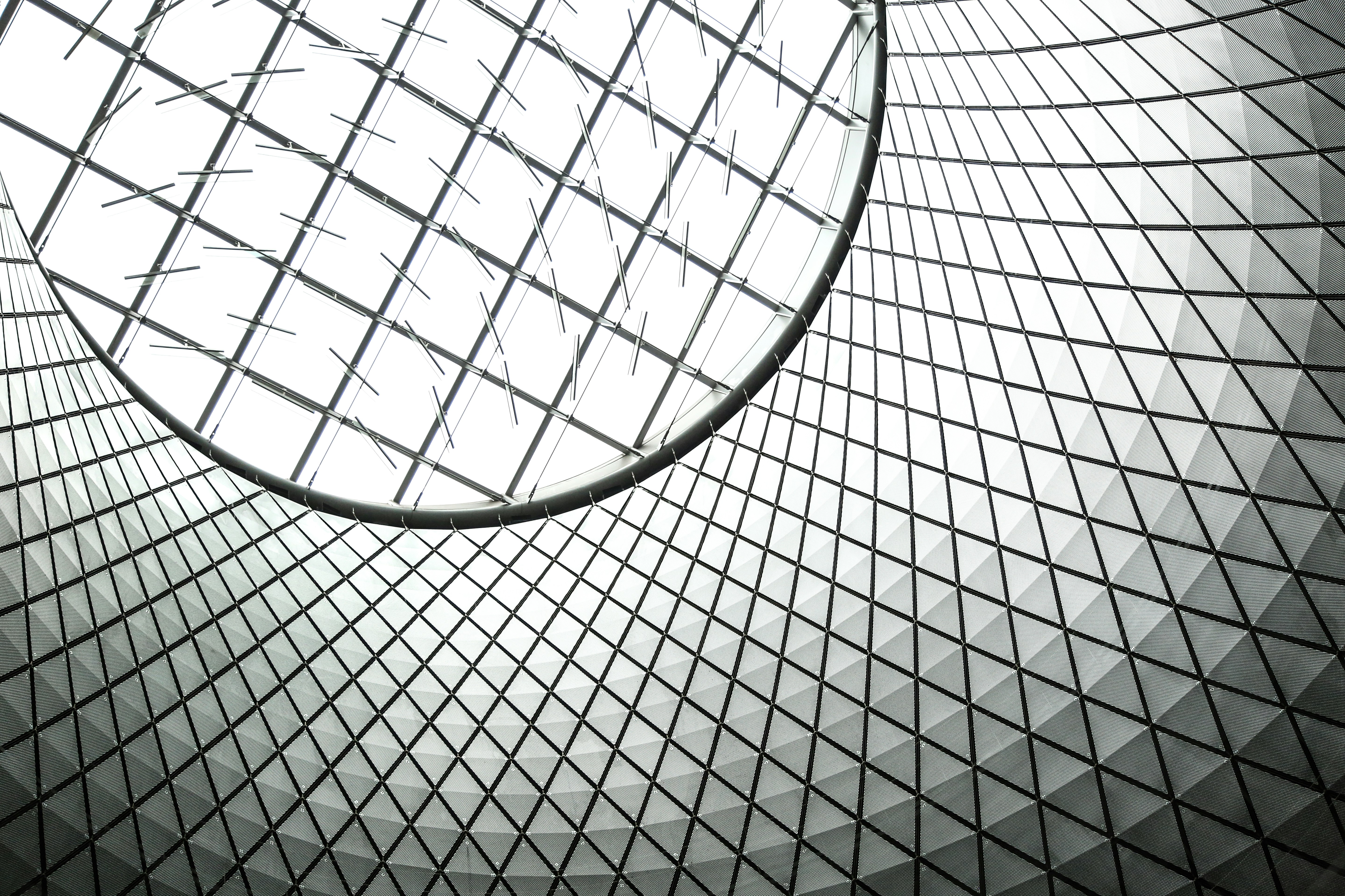 Photo by giorgiotrovato