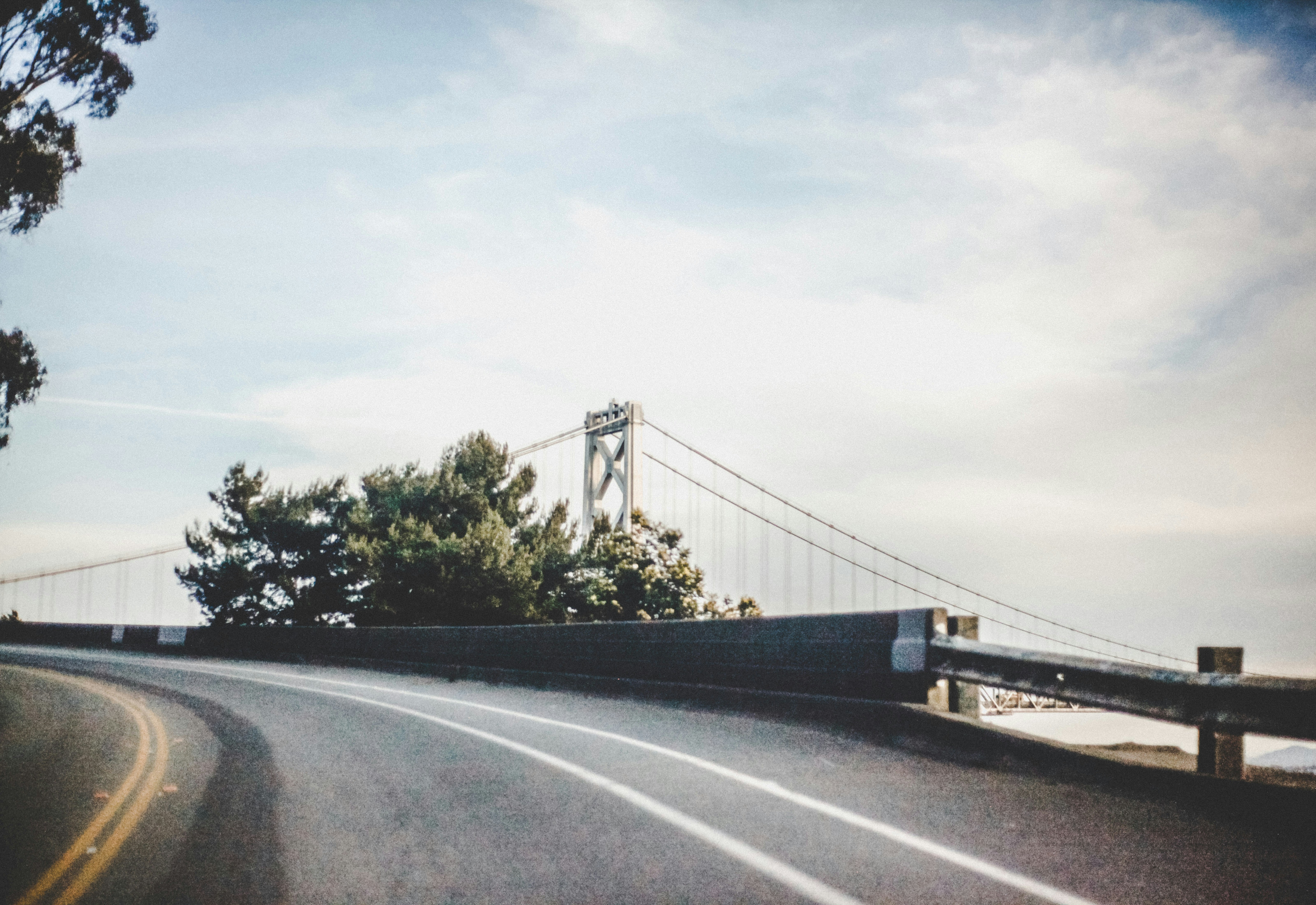 Photo by giorgiotrovato