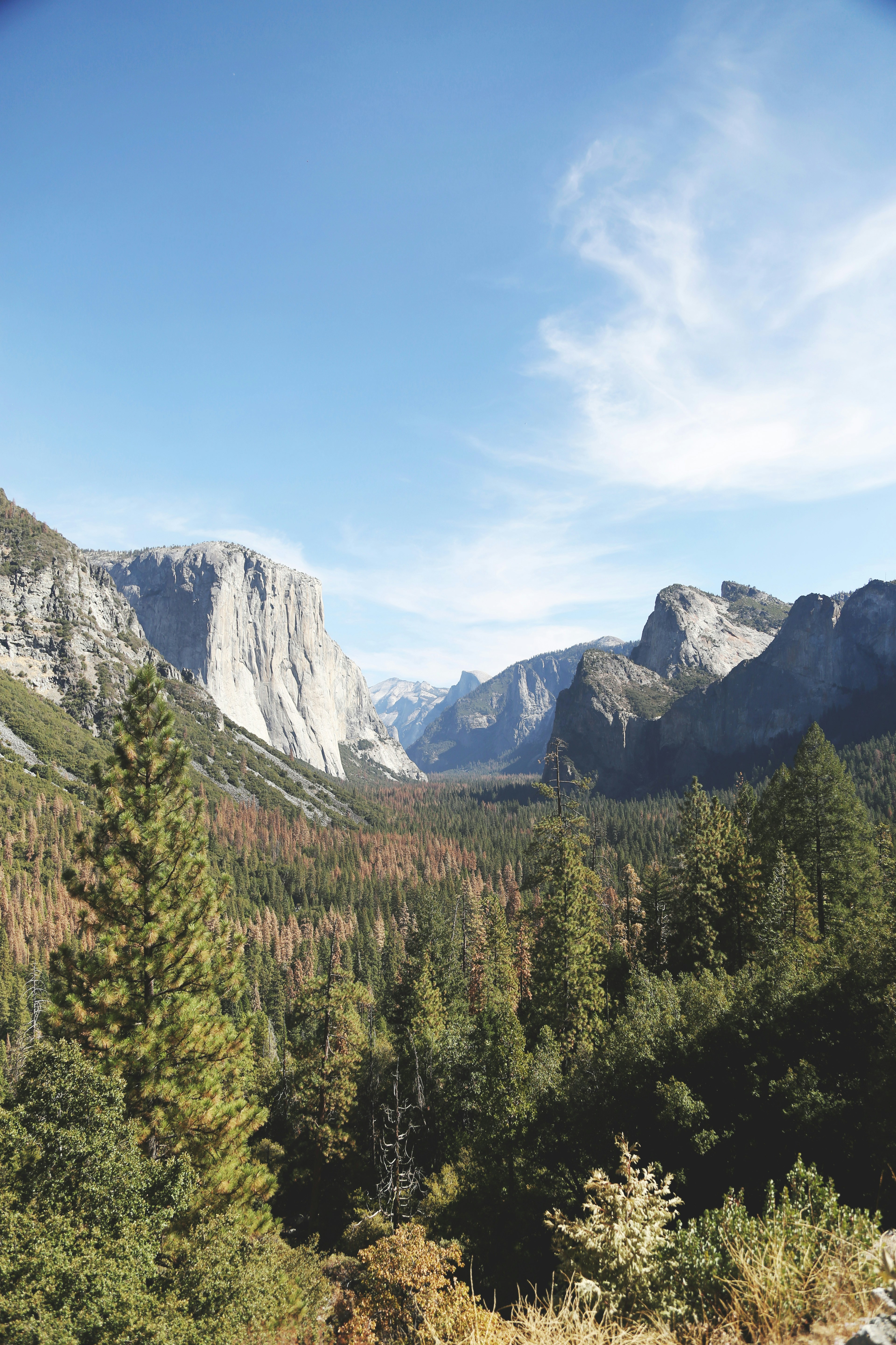 Photo by giorgiotrovato