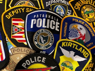 Close-up of a detailed embroidered police badge on a uniform shirt.