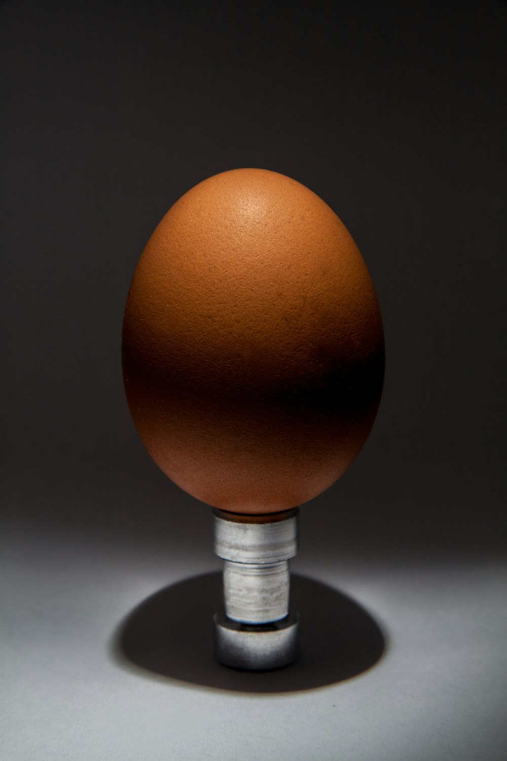 brown egg illustration