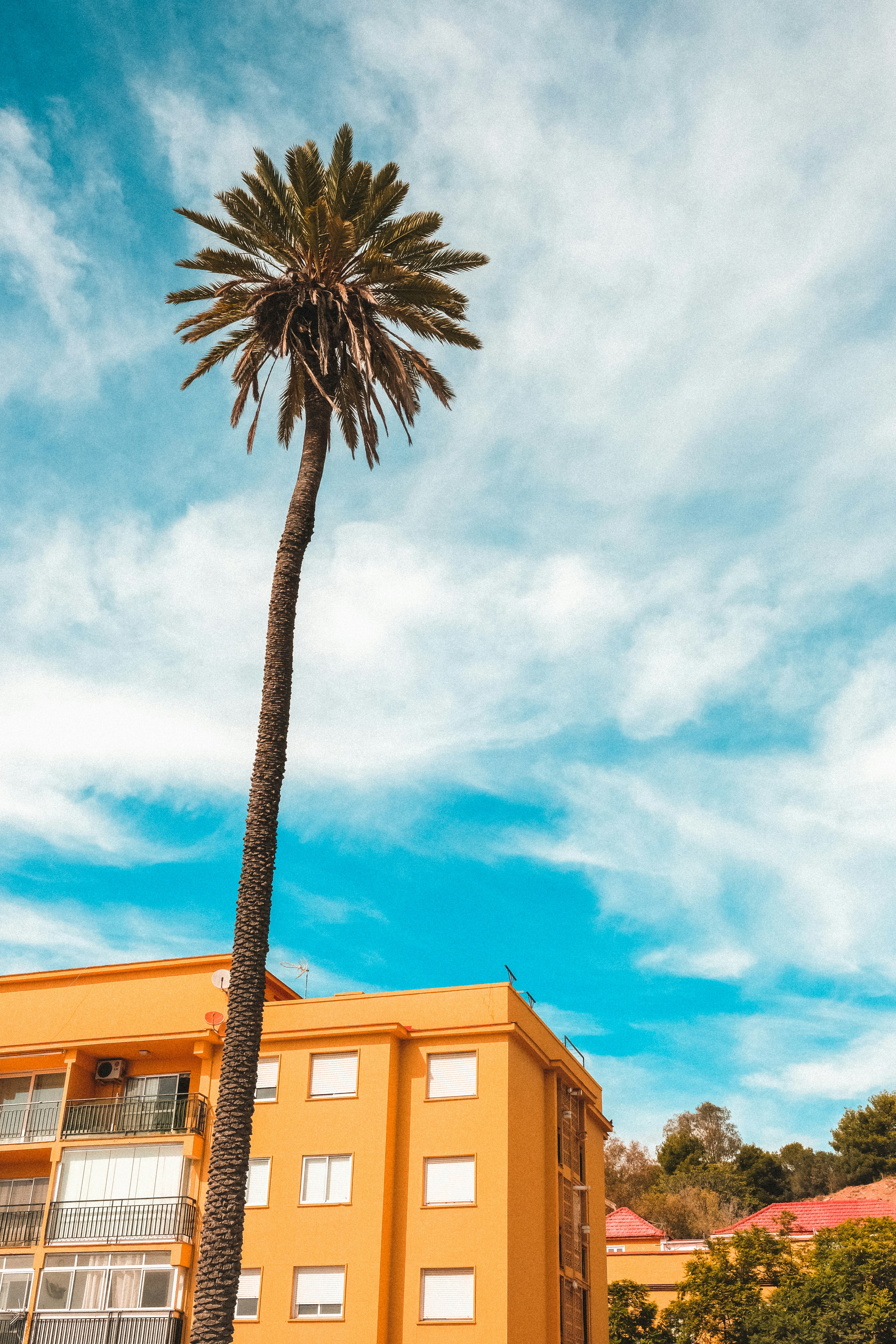 brown concrete building