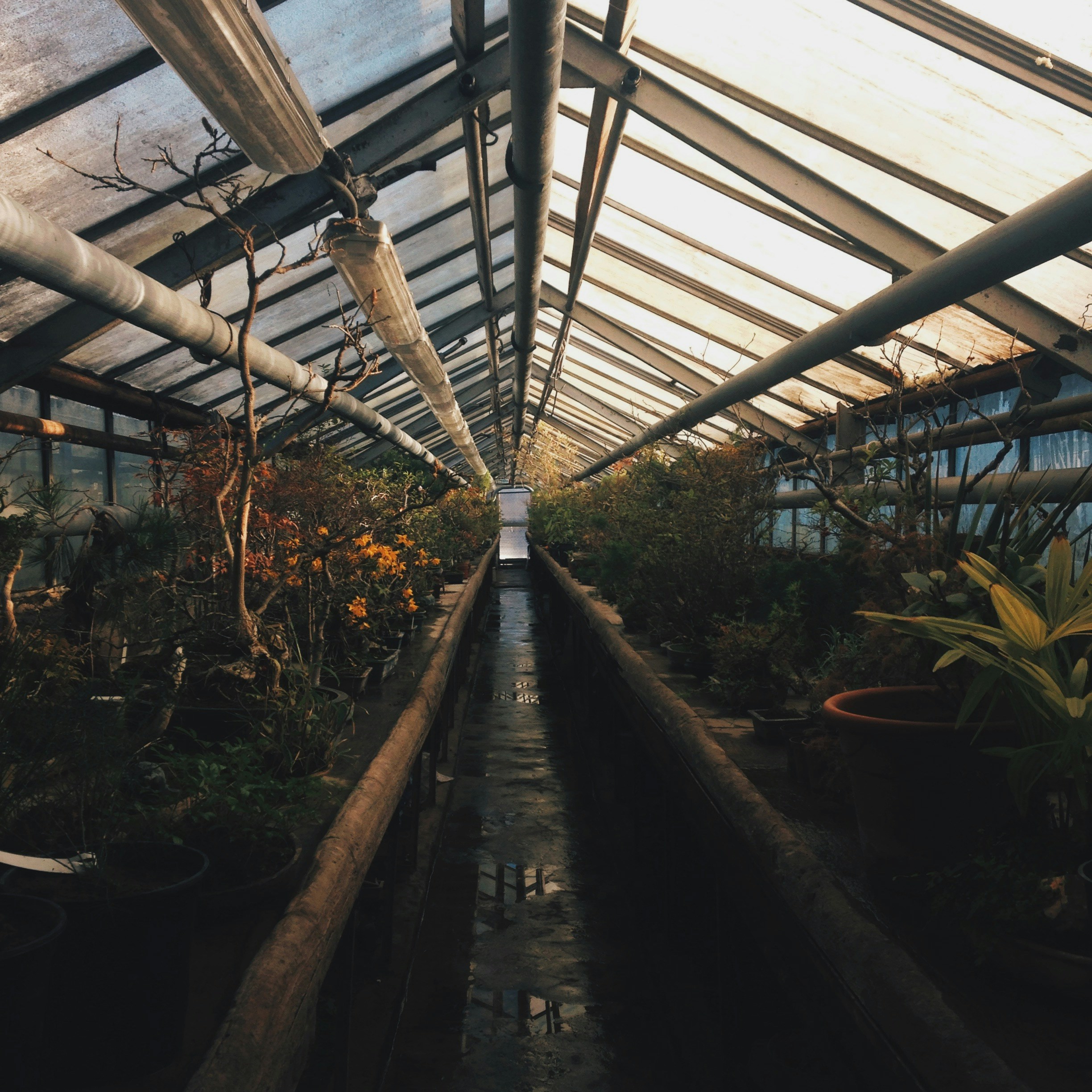 Photo by veragorbunova