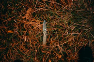 A rugged outdoor survival knife with a textured grip lying on a bed of autumn leaves.