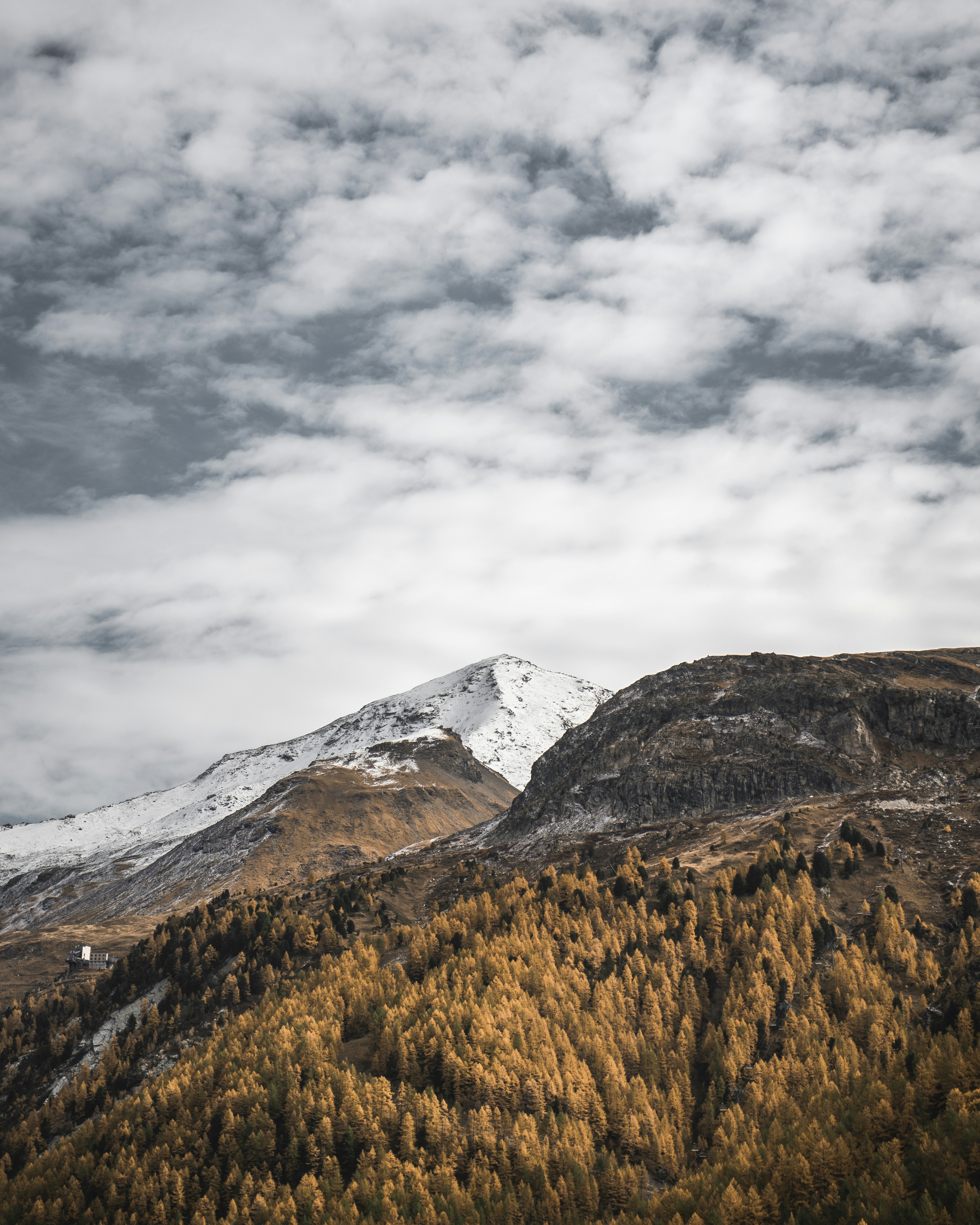 white and brown mountain painting