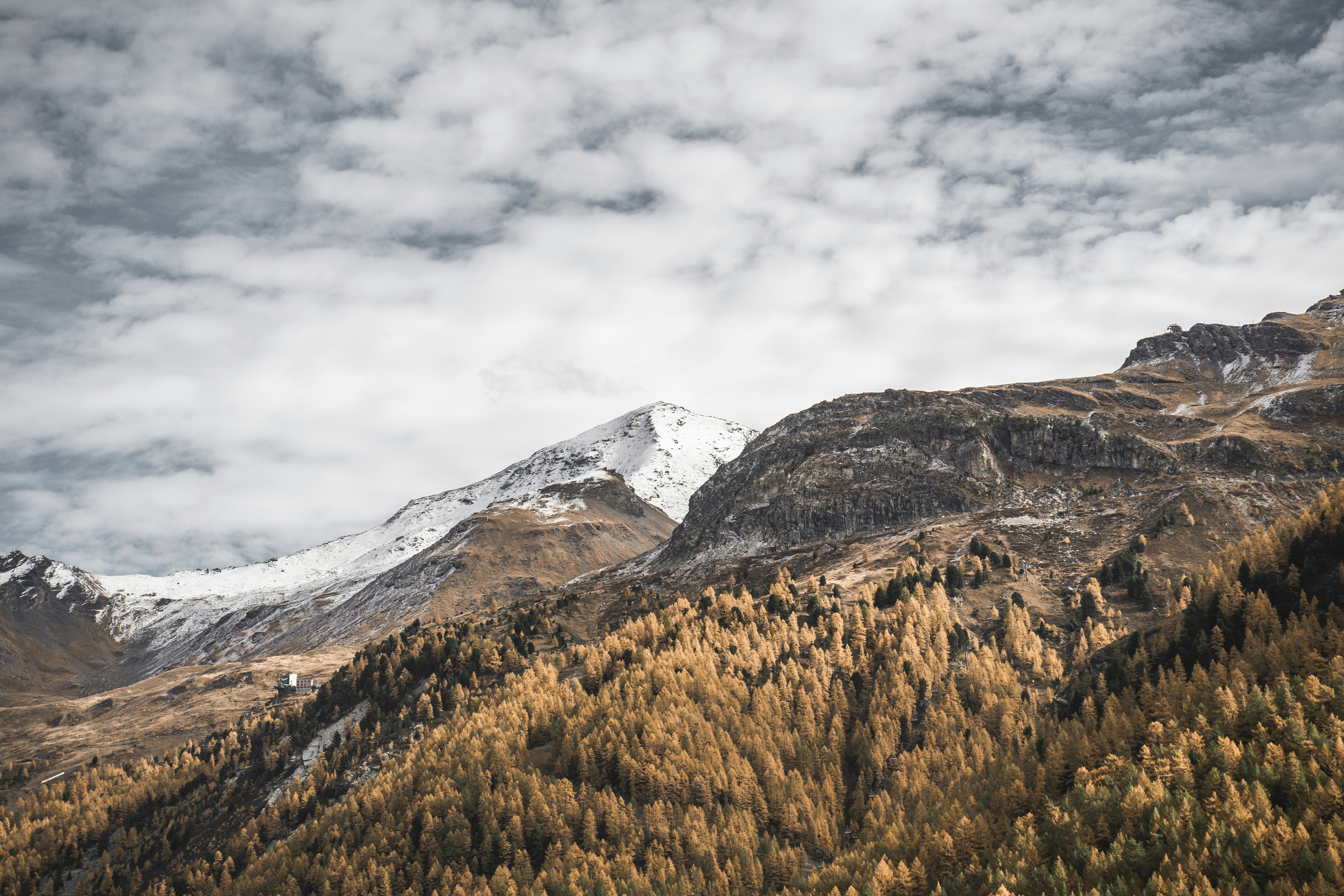 Photo by yannallegre