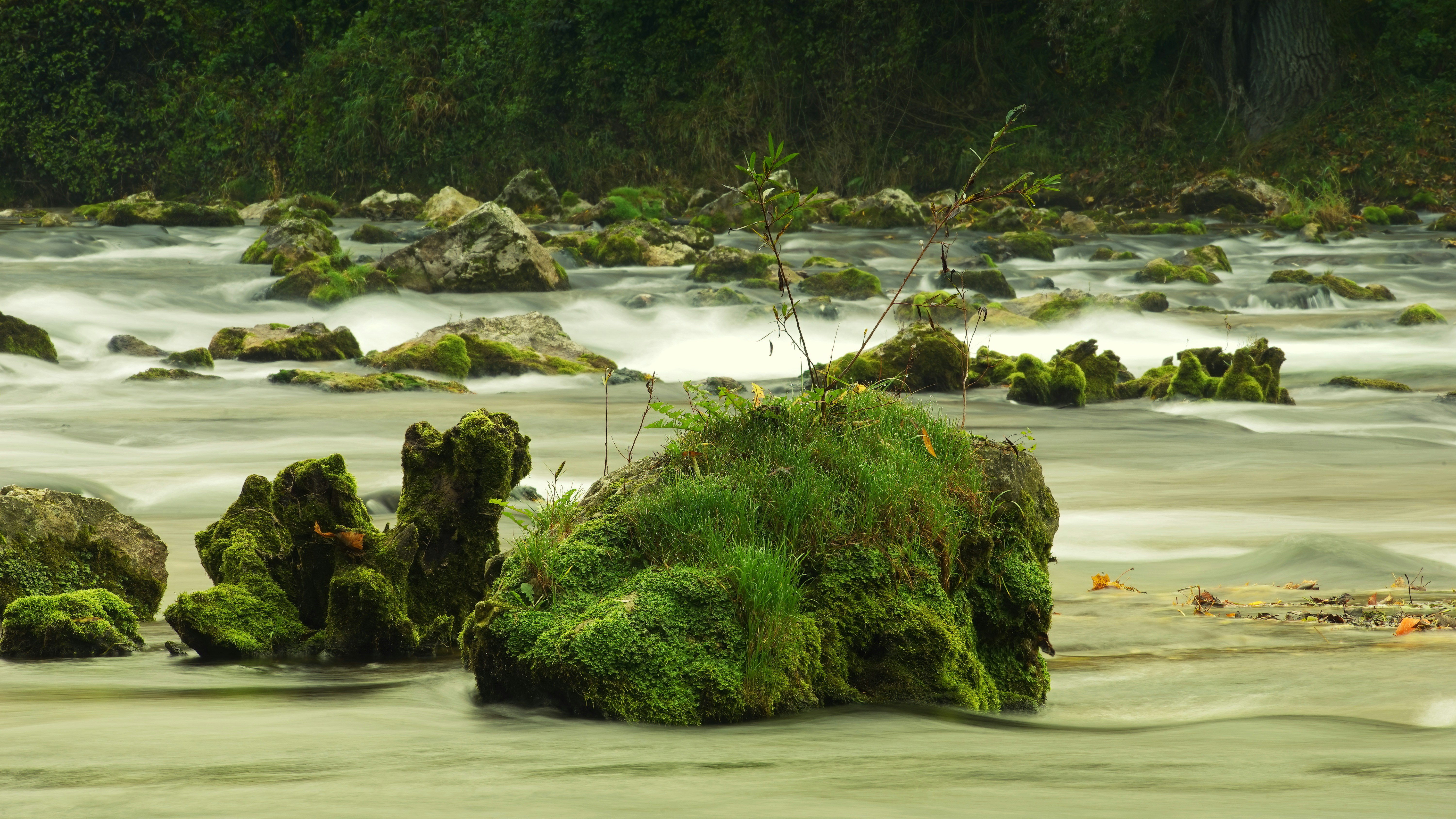 Photo by jplenio