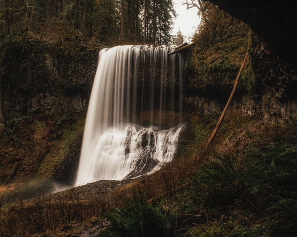 waterfalls and green leaf trees