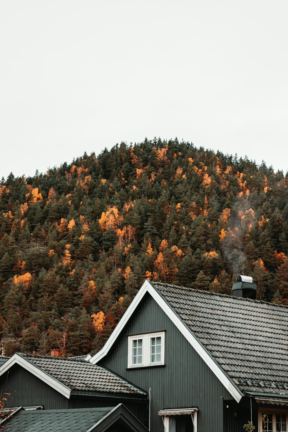 graues Haus in der Nähe von Bergen mit Bäumen am Tag